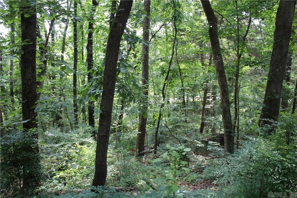 Craigwood Acres - Land