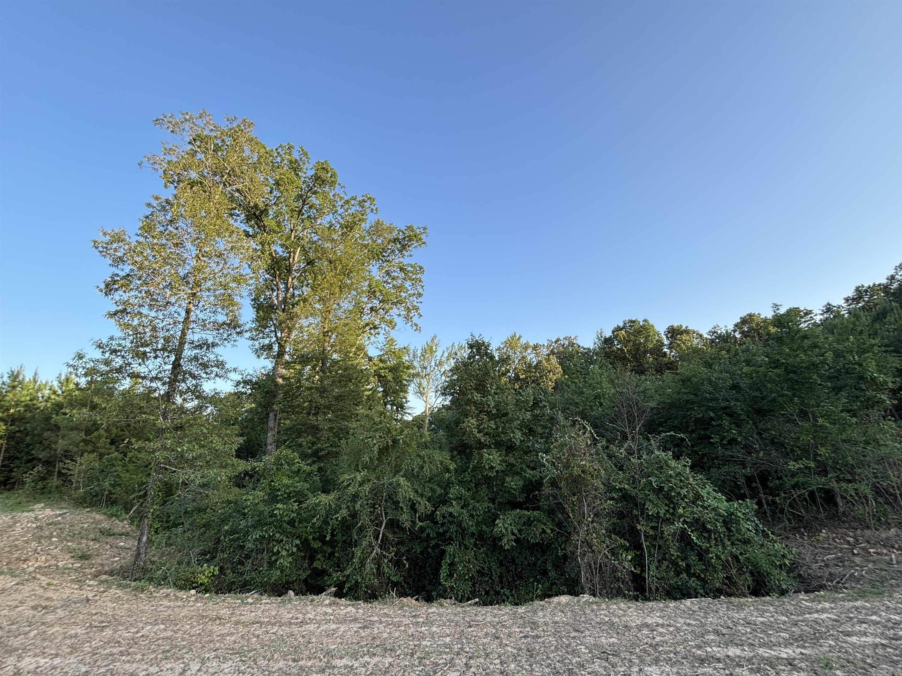 Lake Avalon Estates - Land