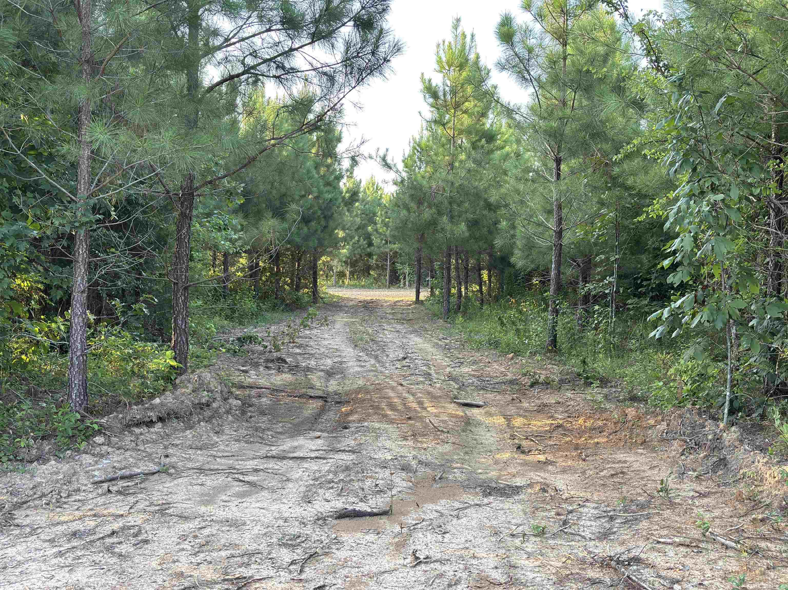 Lake Avalon Estates - Land