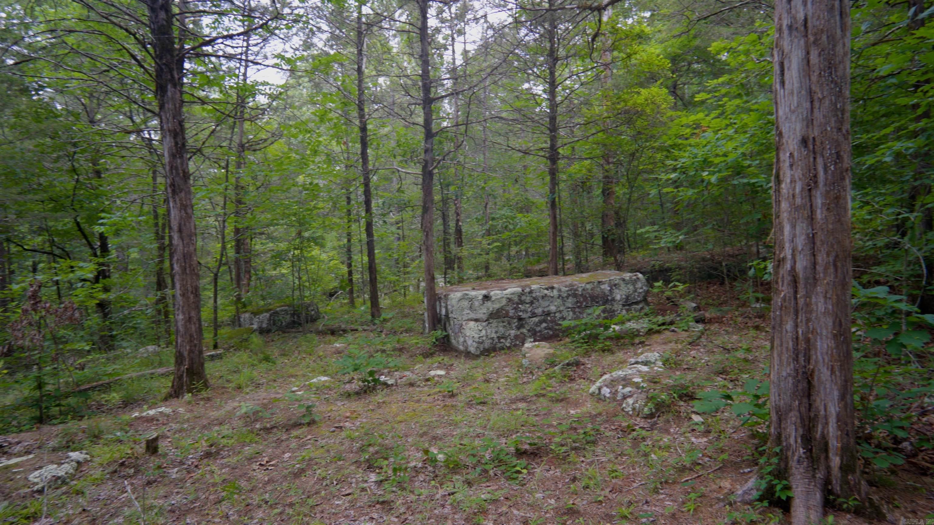 Budd Creek - Land