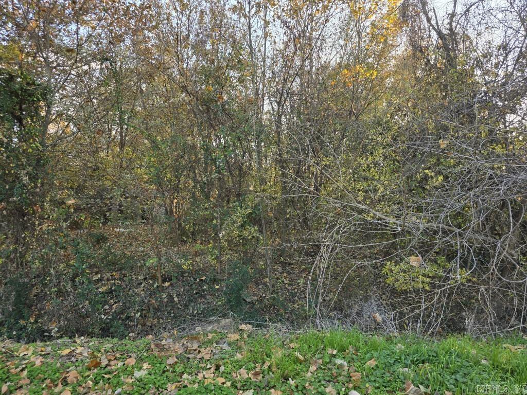 Residential lot that needs cleared to build on
