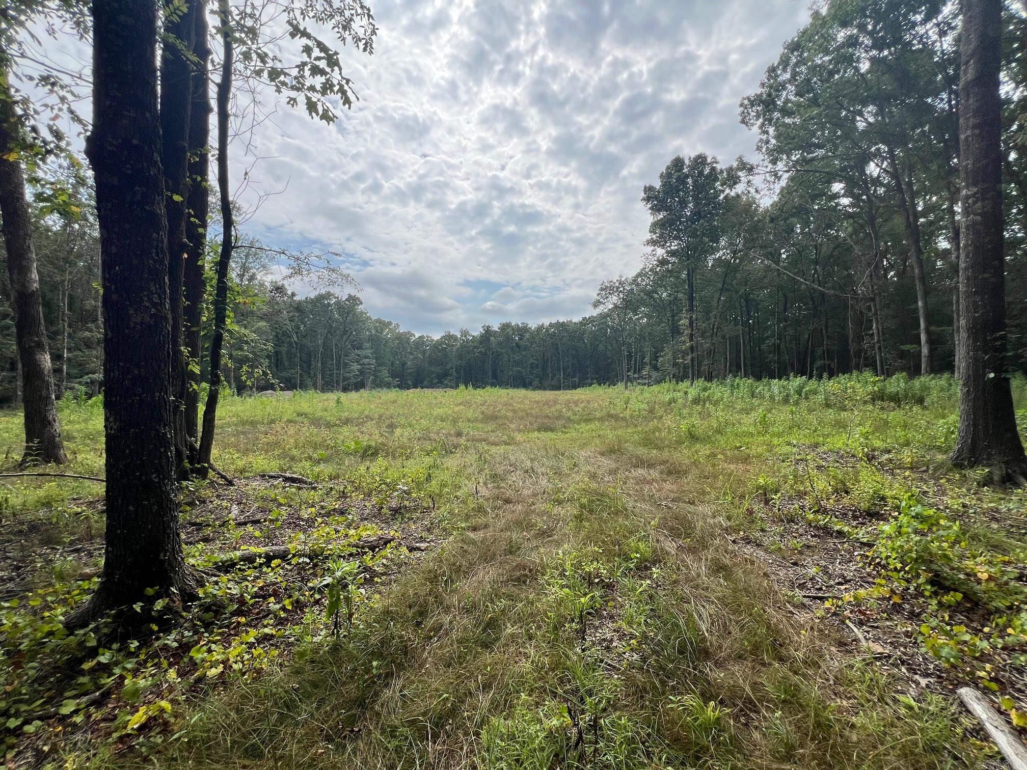 Beautiful wooded land just a short drive from Conway and Wooster. Driveway has been put in and a nice size area has been cleared for a homesite.  Lots of mature trees on the property.  Lots of deer
