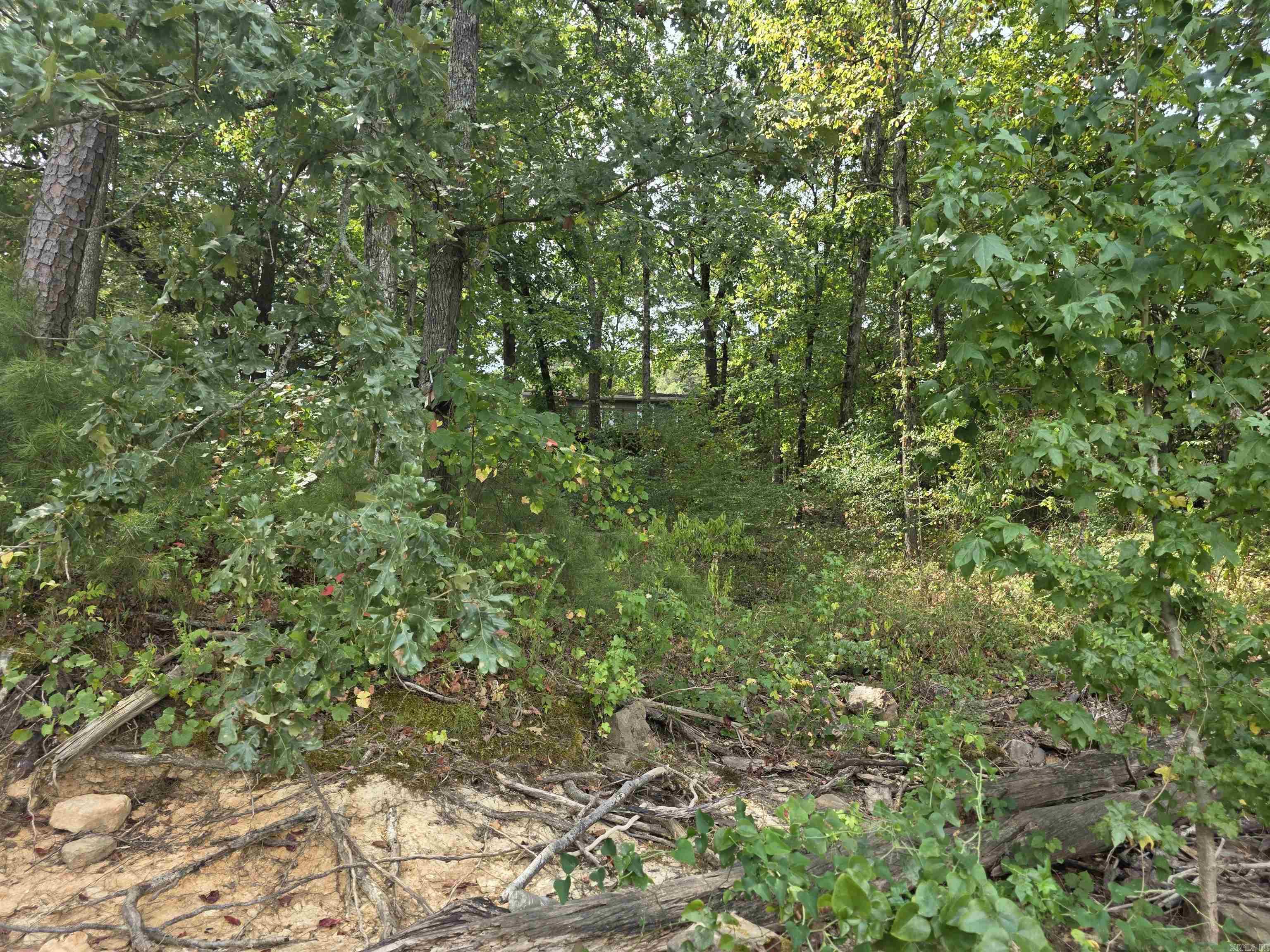 TWIN COVE ESTATES - LAKE - Residential