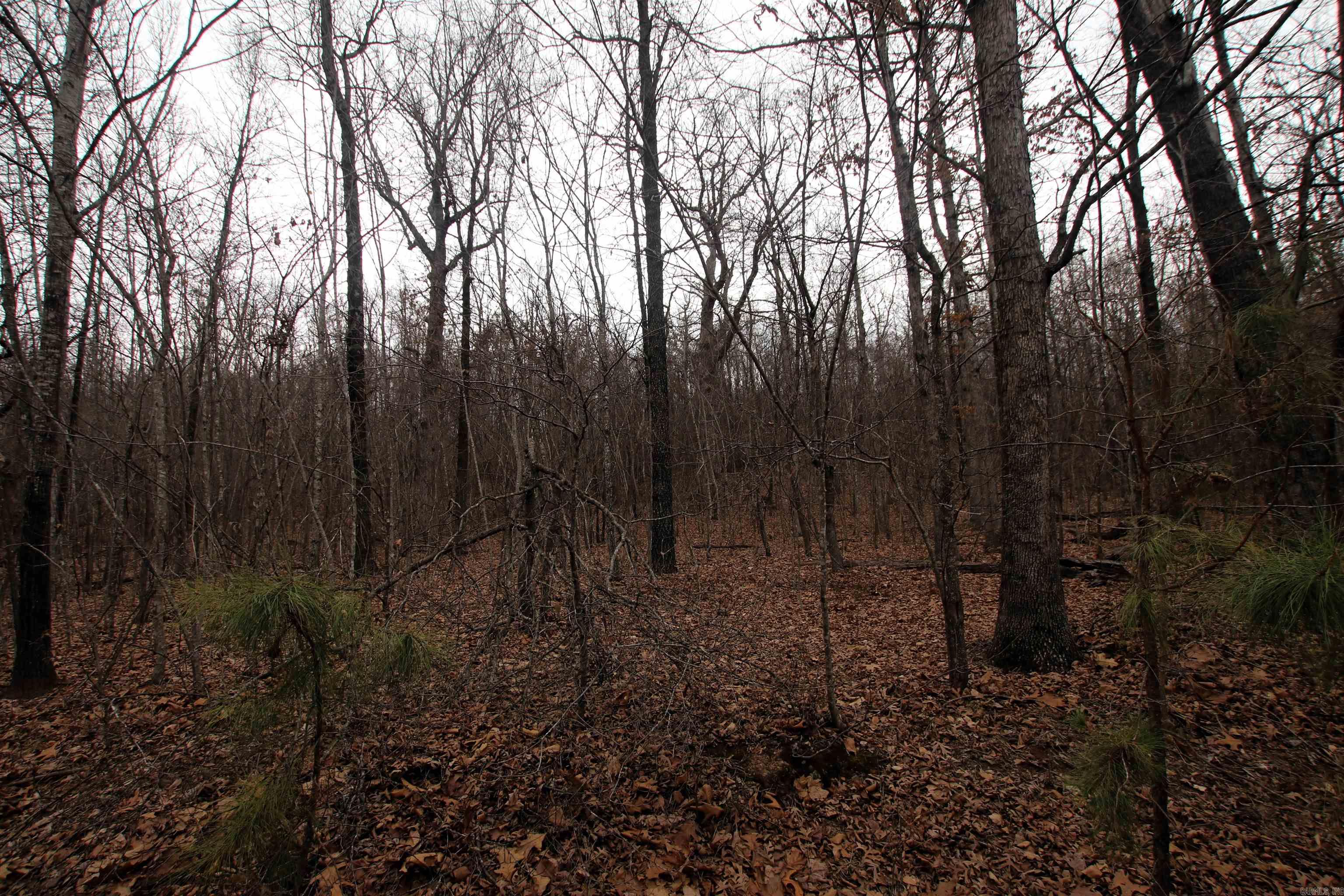Not in Subdivision - Land