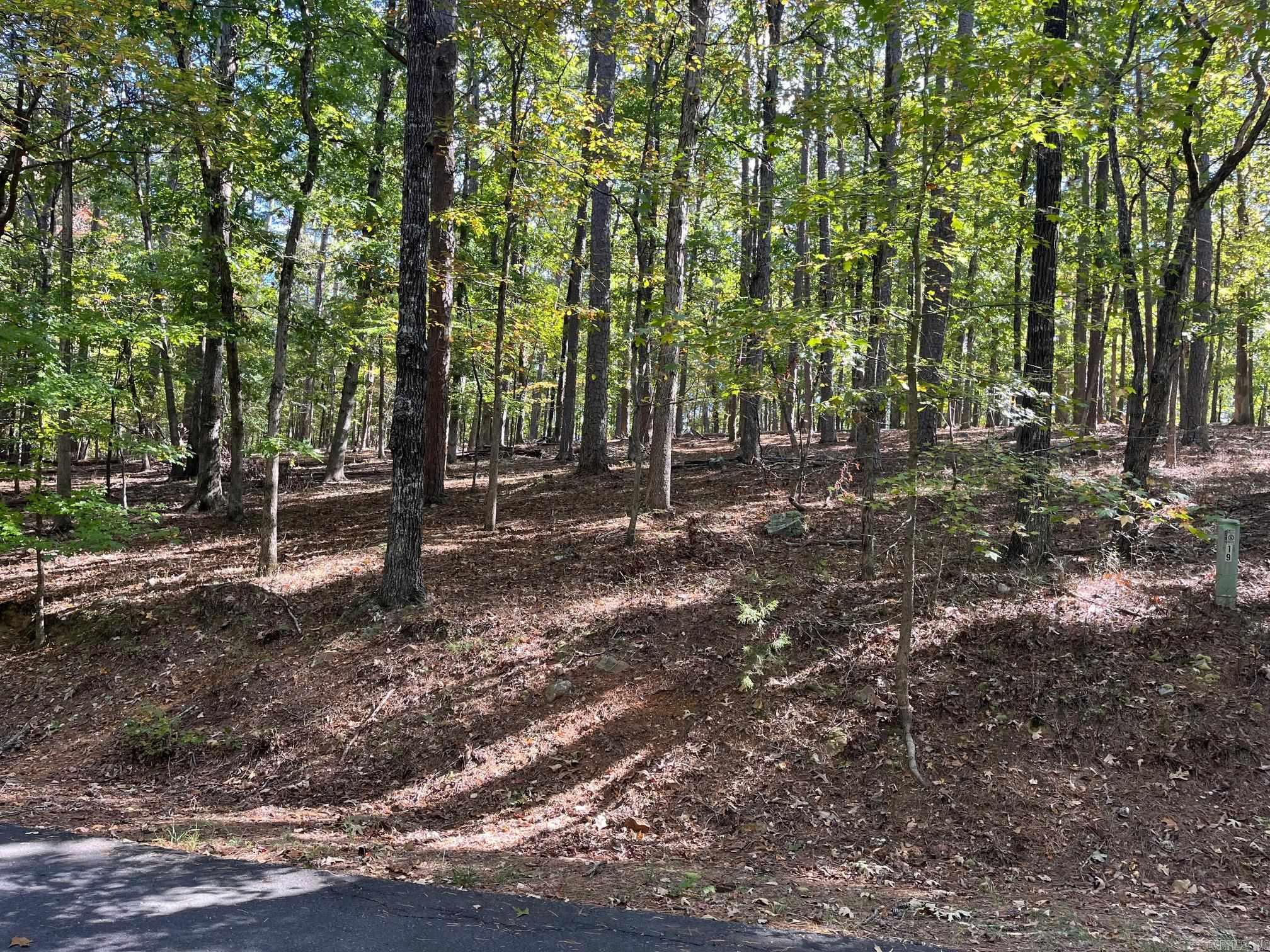 This residential lot is a strong opportunity to build your dream home or invest in one of Arkansas’s most sought-after communities. It sits inside the gated Hot Springs Village community, where you’ll have access to 11 recreational lakes, nine championship golf courses and more than 30 miles of walking trails, and well-kept fitness and tennis centers.  The setting offers natural beauty, quiet surroundings, and easy access to dining, shopping, and medical care. It works well for a full-time home, a vacation place, or a long-term investment.