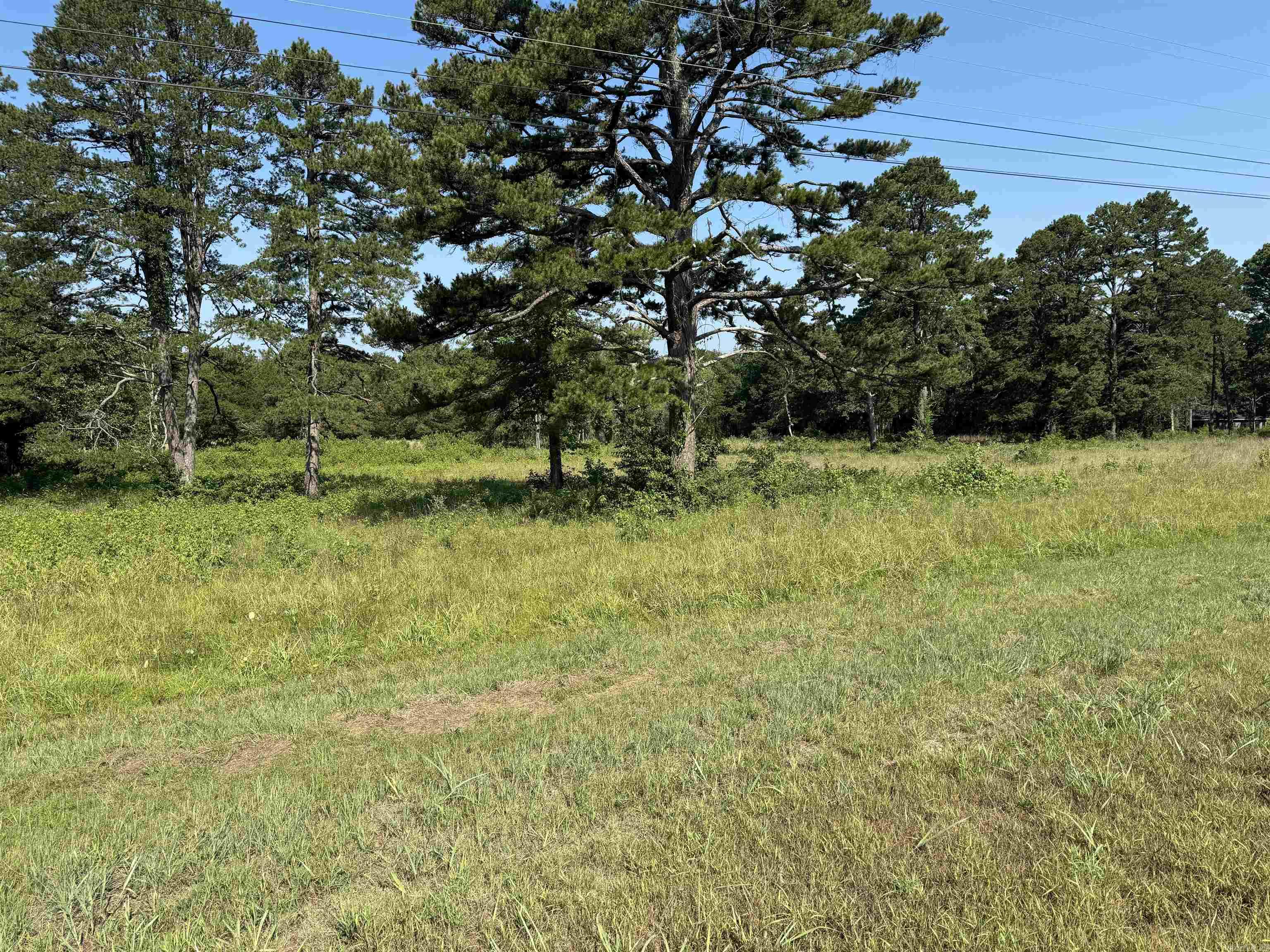 Wow what a Nice piece of Property. 6.86 acres right in the middle of town next to Greers Ferry City Hall.  570 FT of HWY 16 Frontage. Property is level & cleared. Endless possibilities for what you can do with this property. Great building site for any type of business.  Drive by and give us a call today.