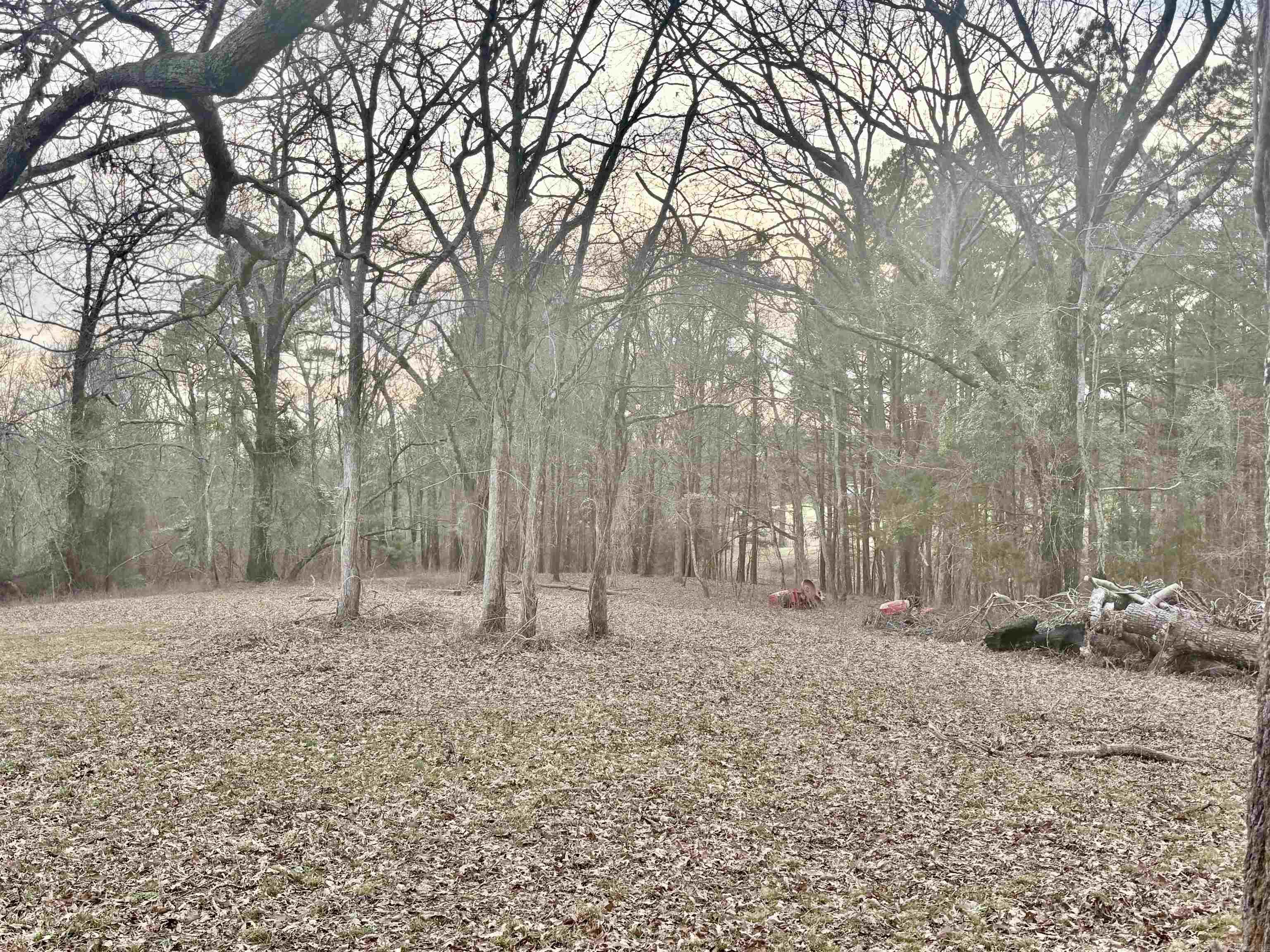 1.65 acres, mostly cleared and ready to build, level and has some mature hardwoods.  On a quiet, dead end street and less than 4 miles from Lake Hamilton Schools and a short drive to downtown Hot Springs.