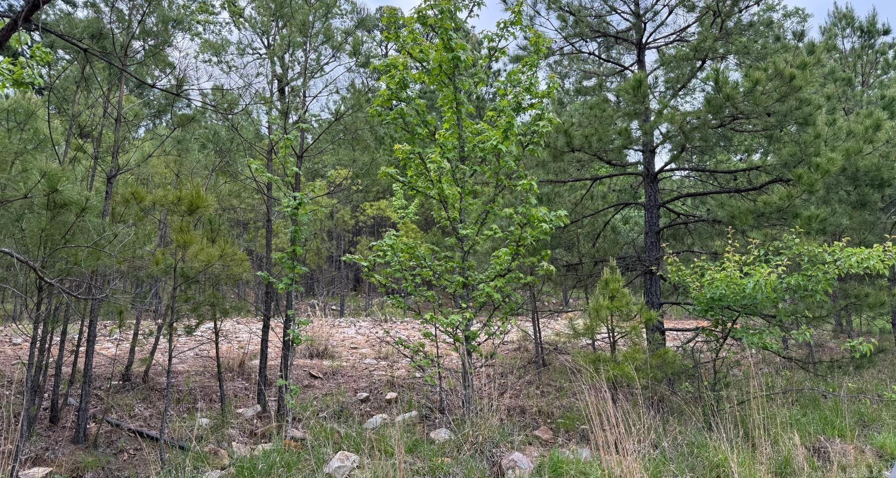 Osage Terrace 2B - Land