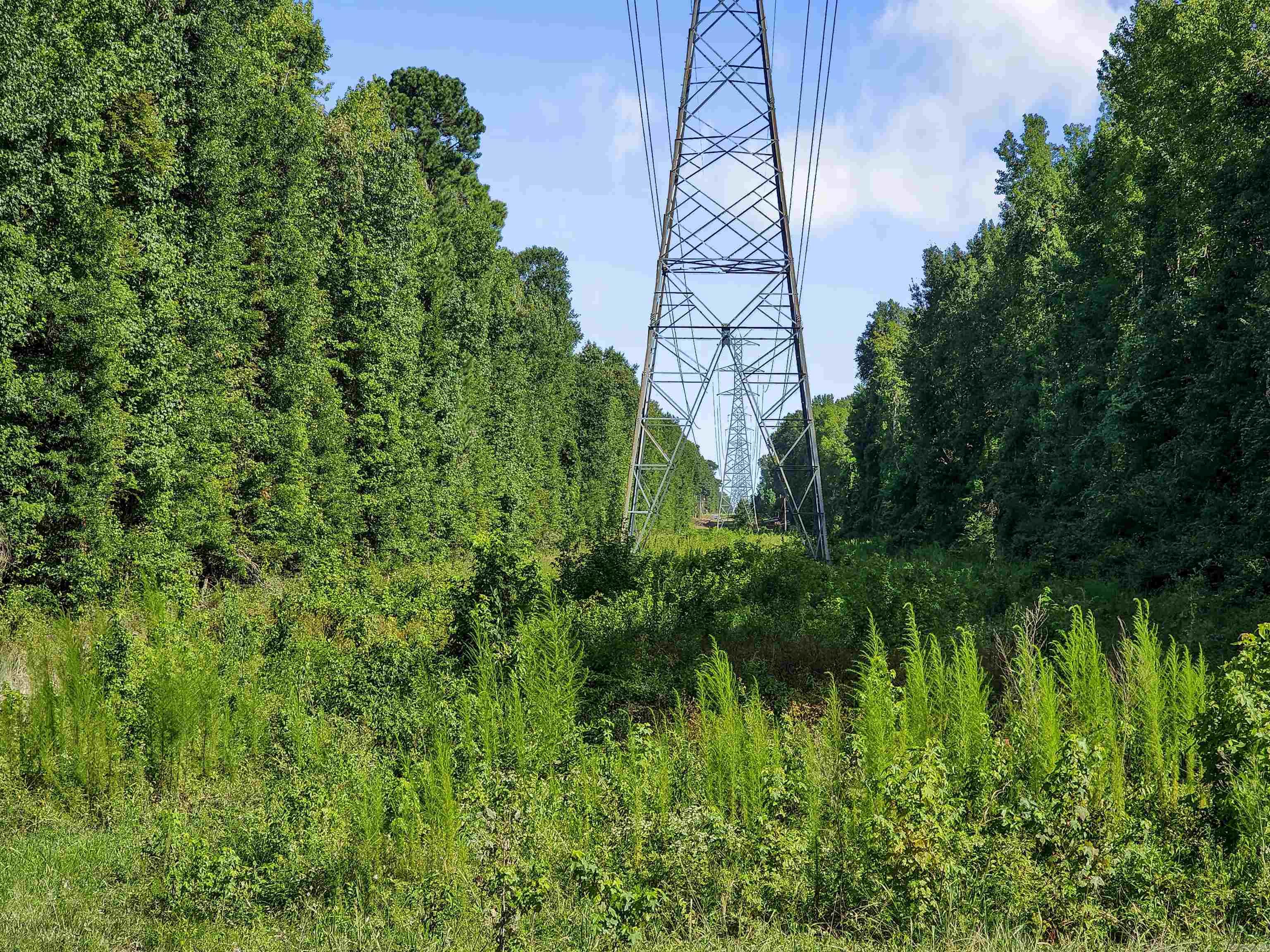 ATTENTION HUNTERS! Check out this +/- 140 acres in White Hall READY FOR YOU! Located right outside the Arsenal entrance, this is PRIME hunting ground with tons of wildlife. Call today for more information and to schedule your appointment to see this beautiful tract of land.