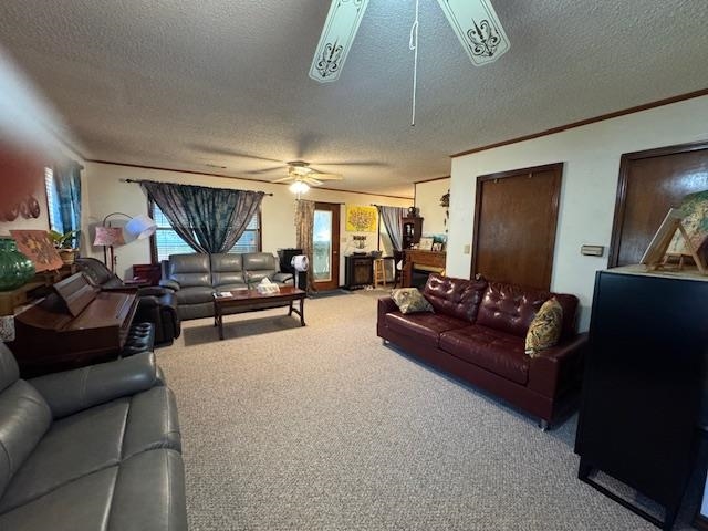 TRACT D - Residential