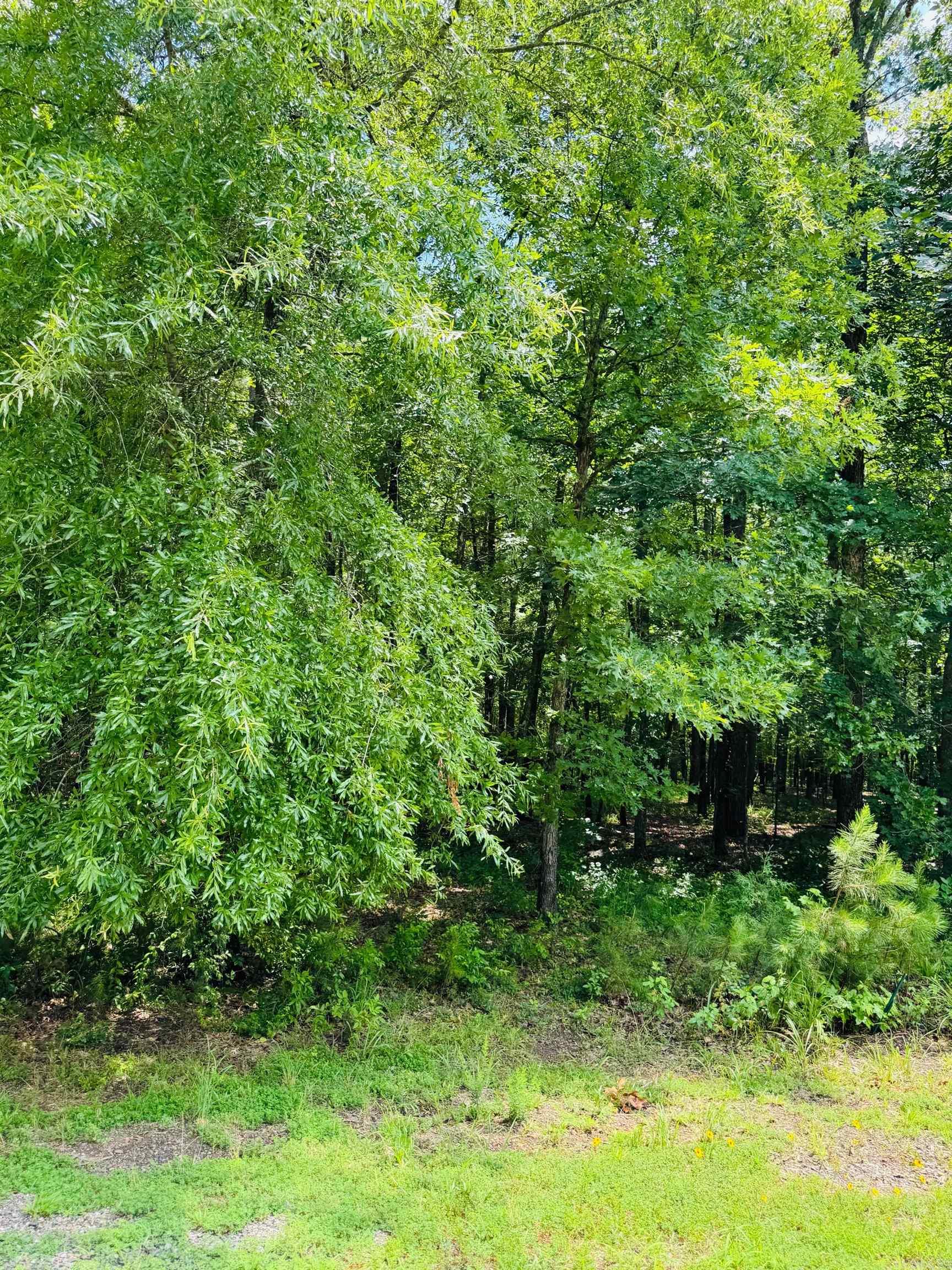 Primrose Creek Sayles - Land