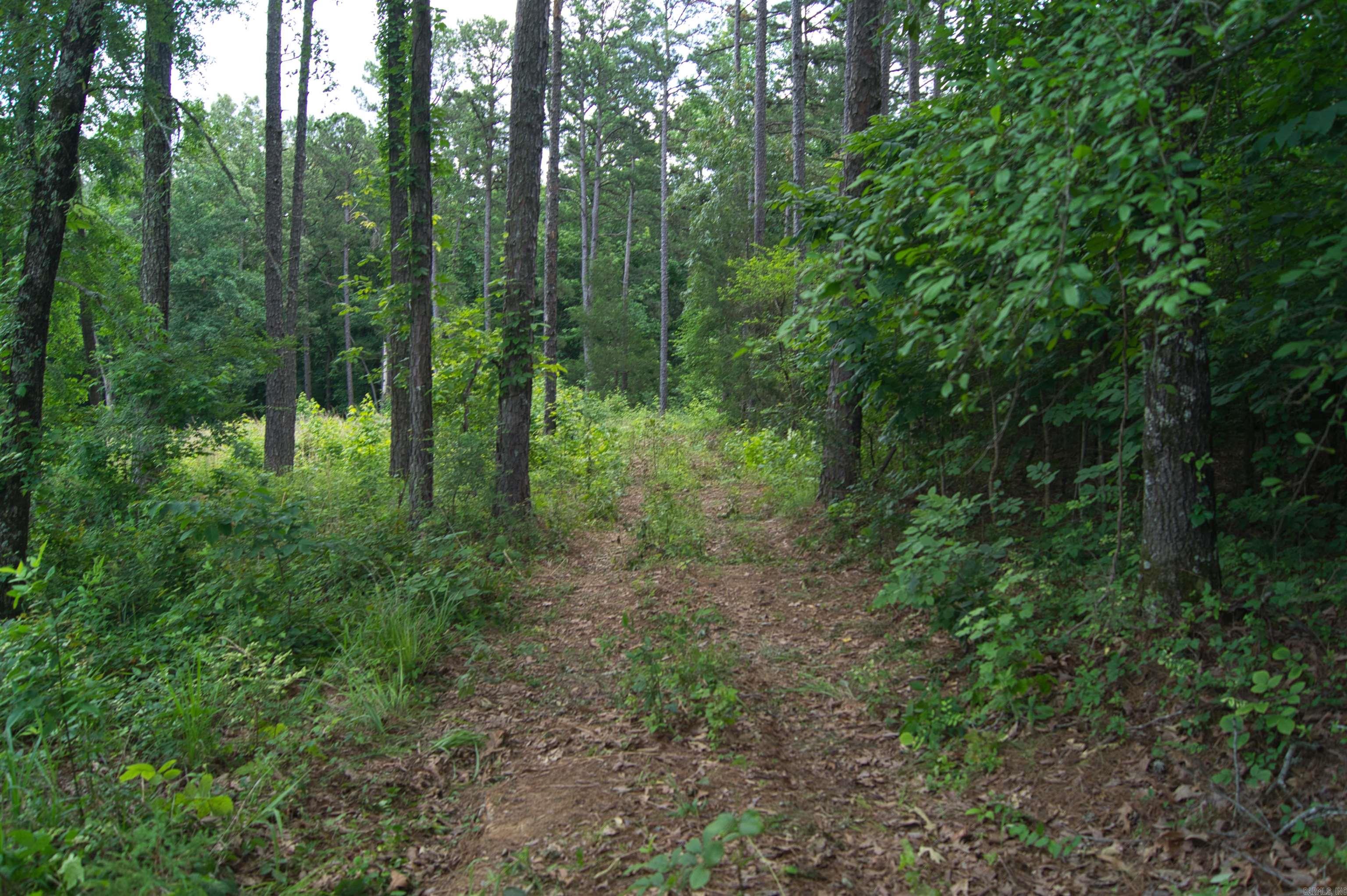 Oak Ridge - Land