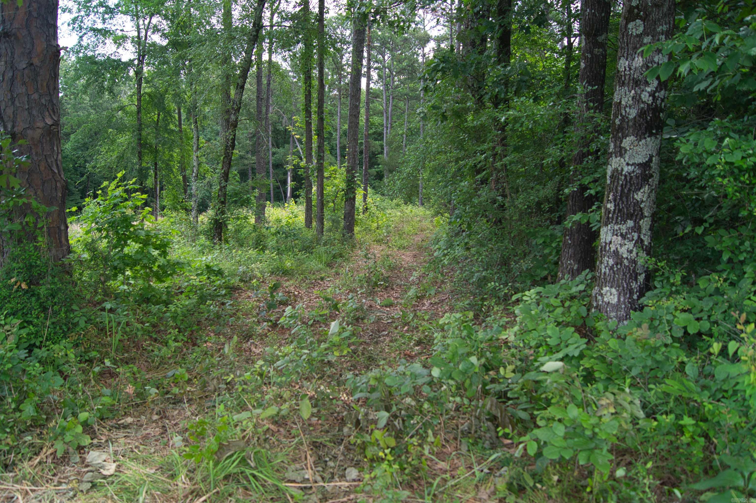 Oak Ridge - Land