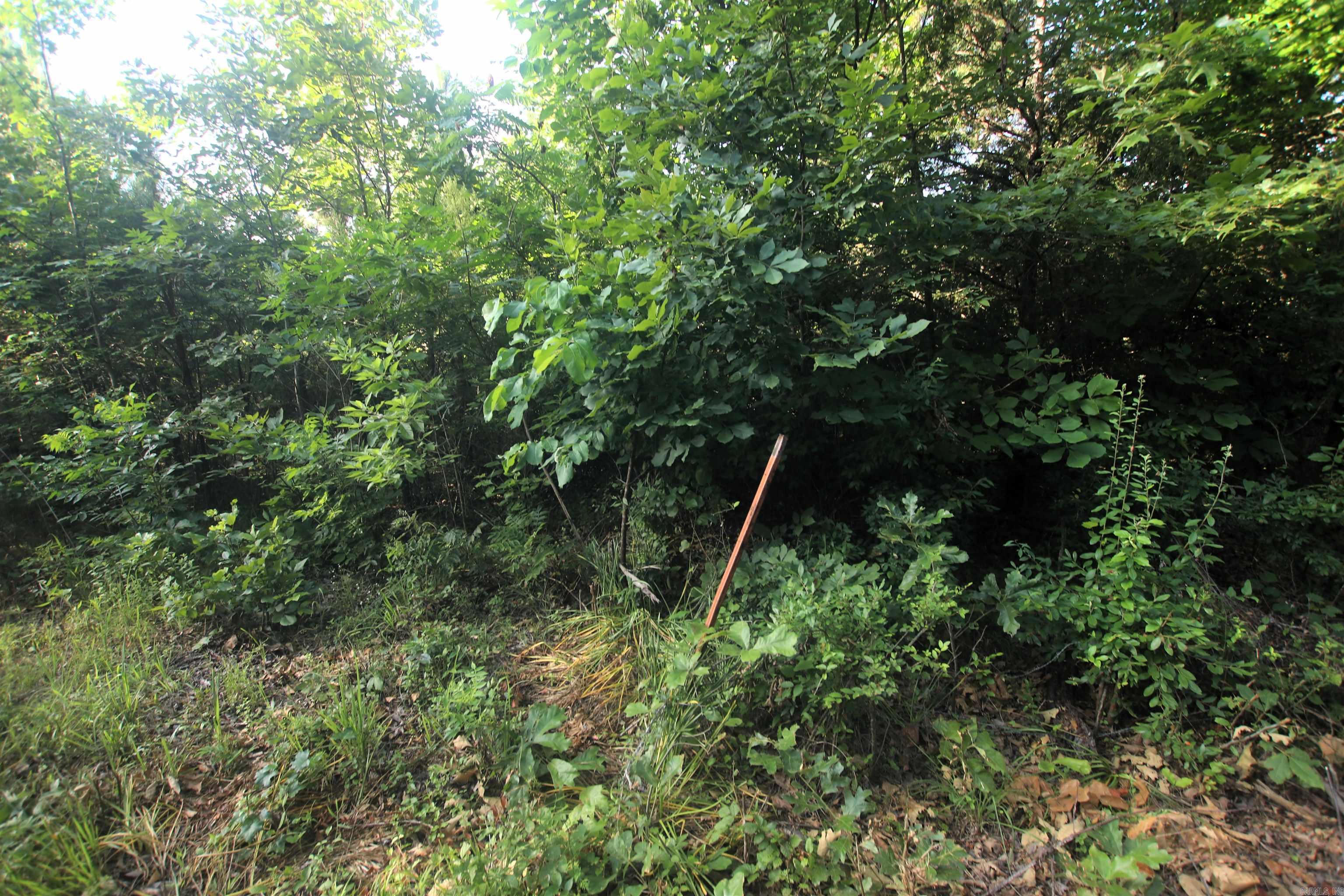 Not in Subdivision - Land