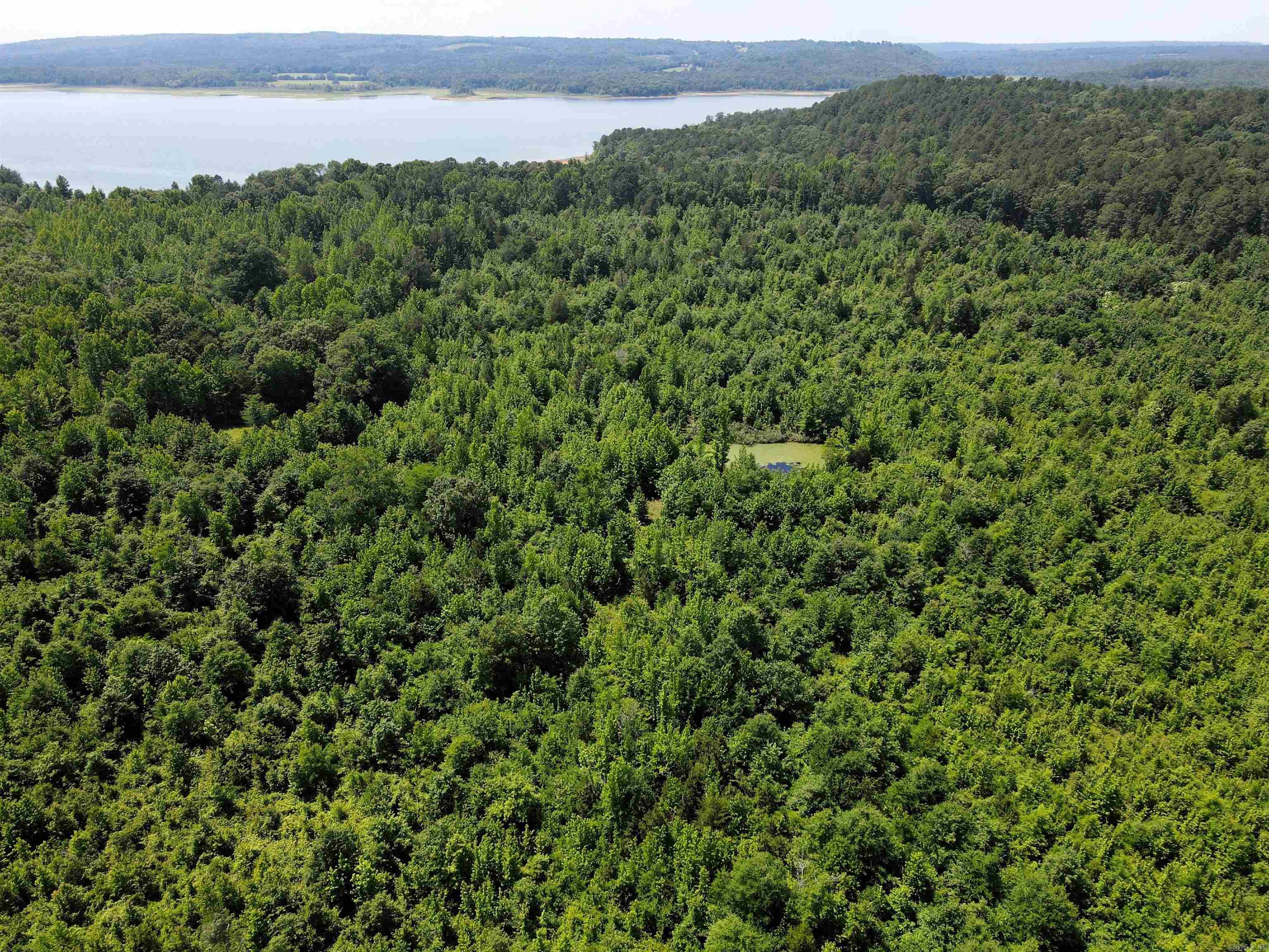 This beautiful small acreage tract is tucked into the Conway County countryside between AR 92 and Brewer Lake. The property features a mix of timber, dense cover, and a small pond that creates ideal conditions for deer and other wildlife. The nearly level topography offers multiple possibilities for a homesite, cabin, hunting camp, or investment property. With no restrictions, you’ll have the freedom to use the land as you see fit. Electricity and public water are nearby, making future development more convenient.  Access is provided by a deeded easement, offering a secluded setting while remaining just 12 miles from both Morrilton and Greenbrier. Whether you’re looking to hunt, build, invest, or simply own a piece of land in a desirable location, this property offers plenty of opportunity.