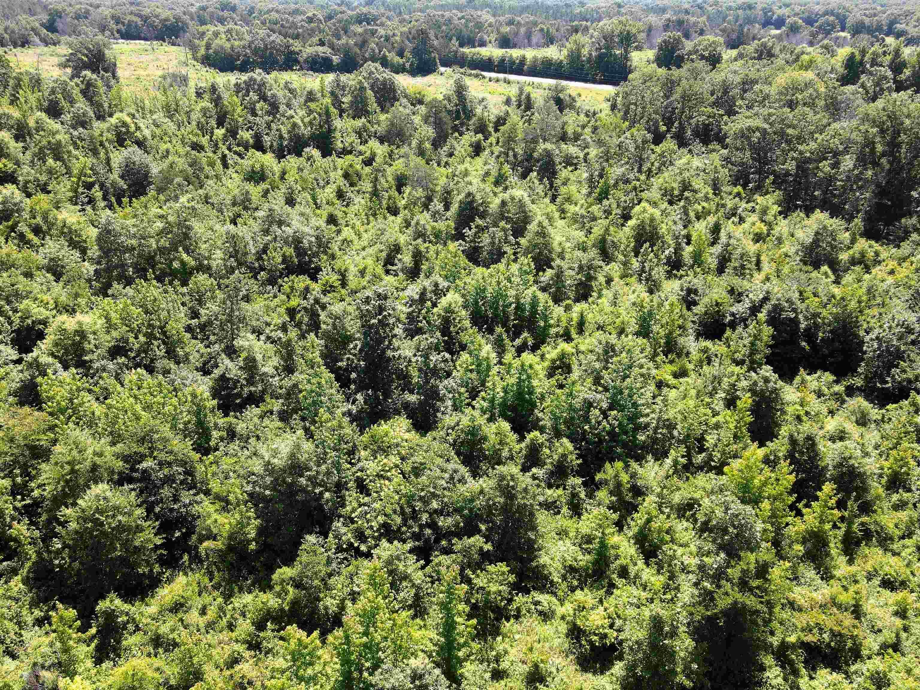 Not in Subdivision - Land