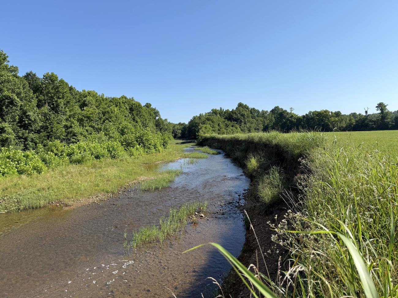 Approximately 117 acres with Martin Creek frontage! The old highway 63 runs right down to the property. There are 3 fields that produce hay (all connecting), with the rest of the acreage consisting of woods. Two of the fields are right on Martin Creek.  If you clear a few paths, you would have great access to play in the creek.  The woods are perfect for hunting! There are also several areas that would be beautiful to build your forever home on. Whether you need some land to play on, build on, or hunt on, this is the perfect property for you!