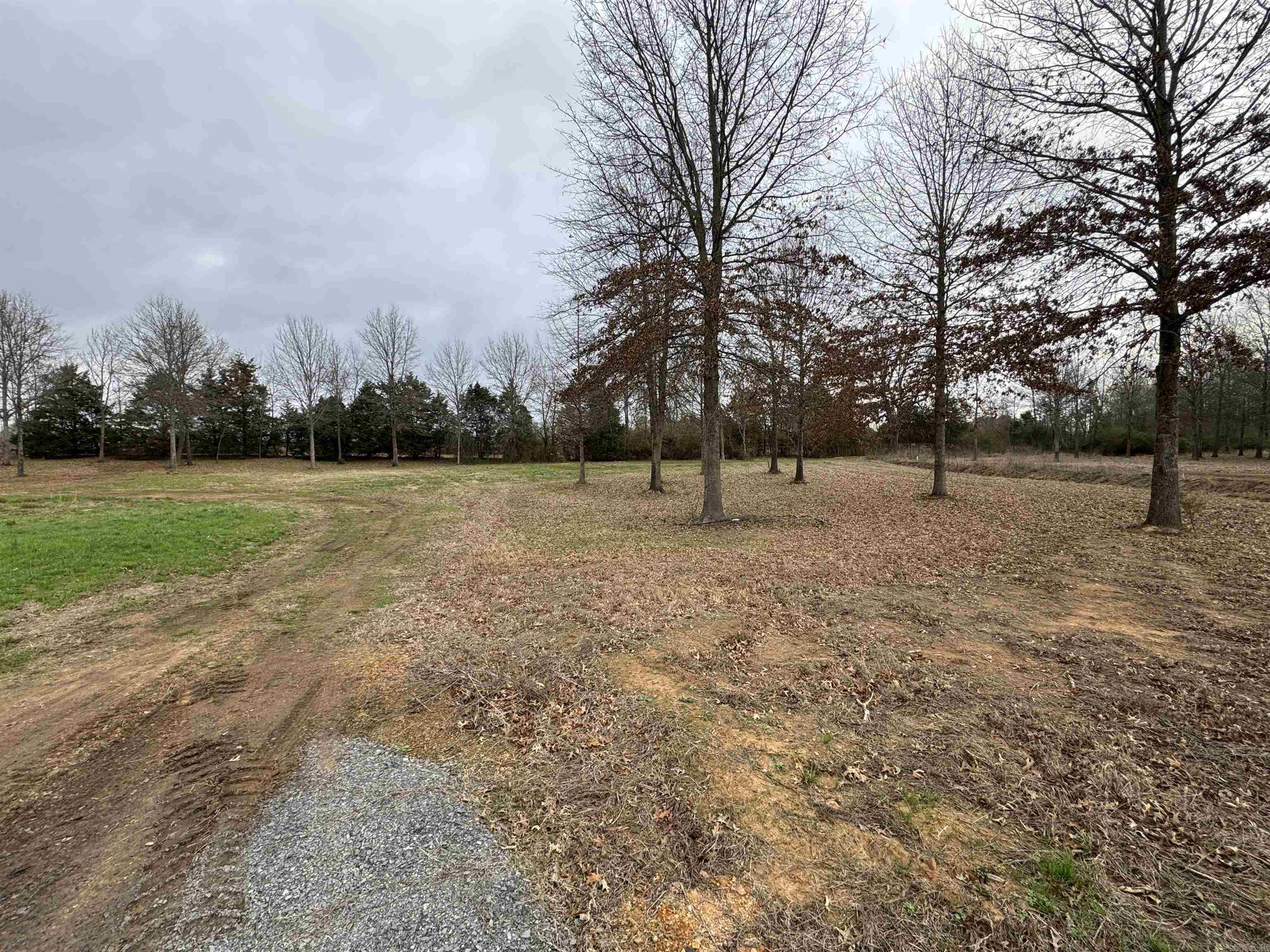 Win Meadow - Land