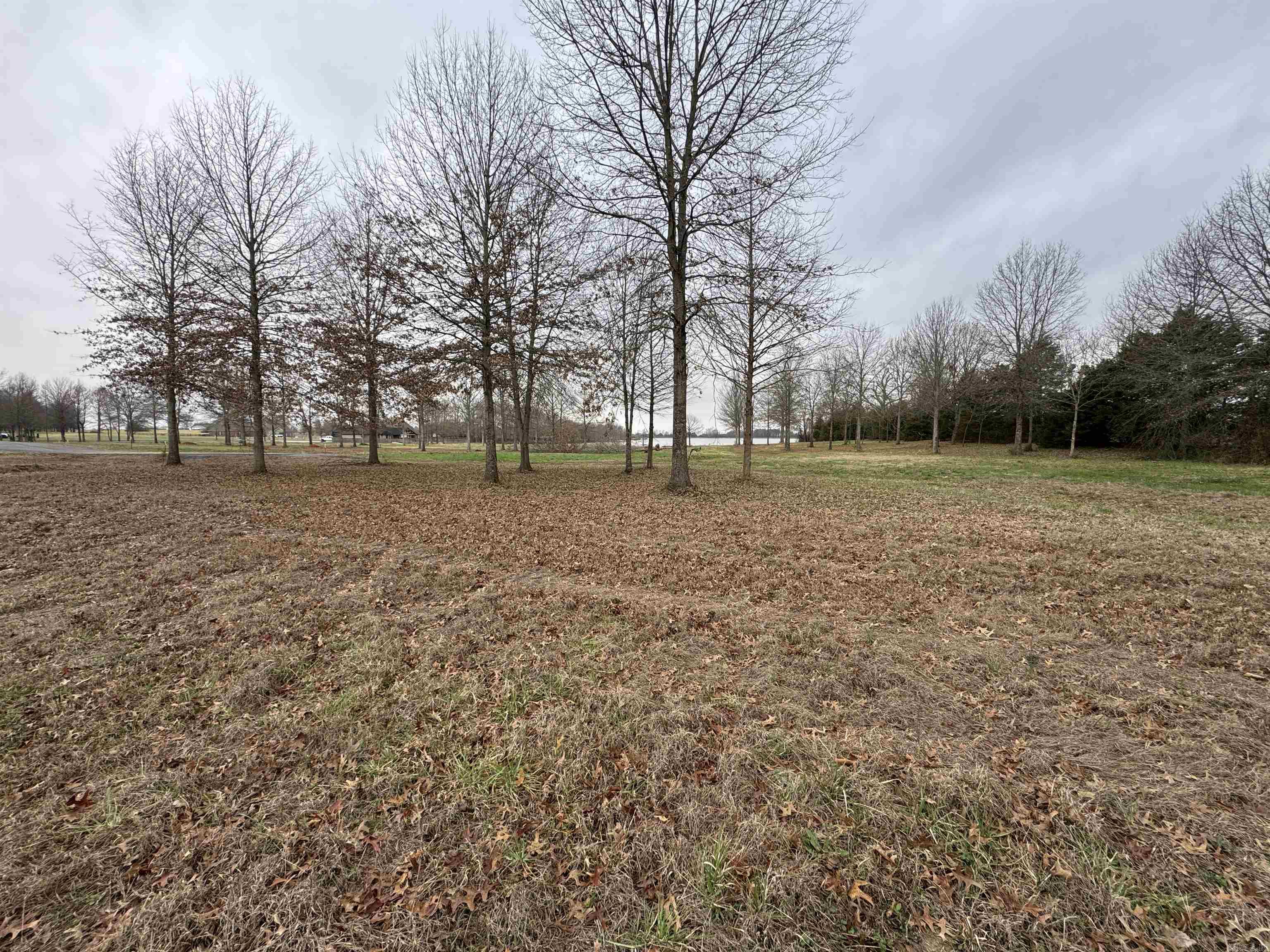 Win Meadow - Land