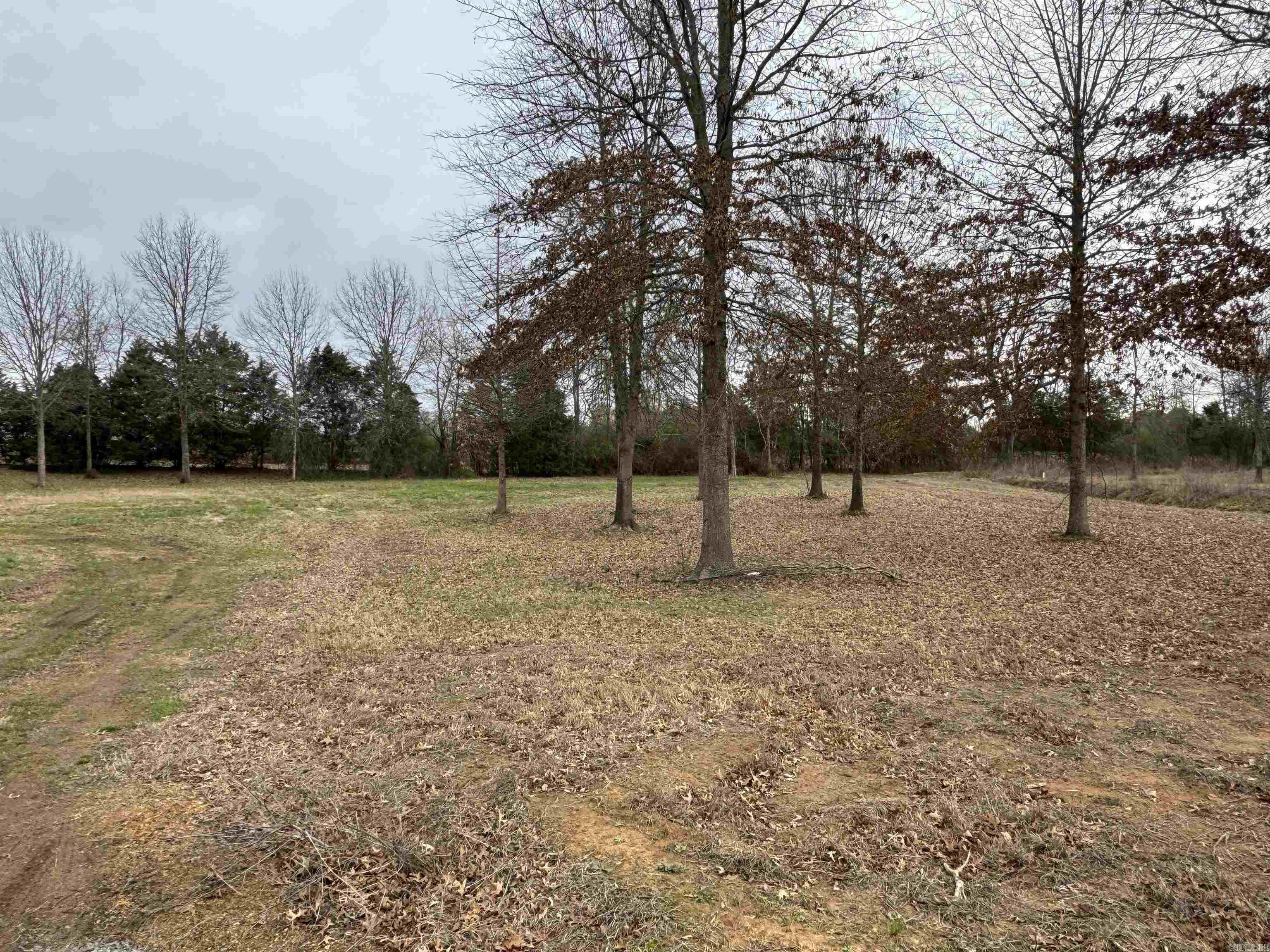 Win Meadow - Land