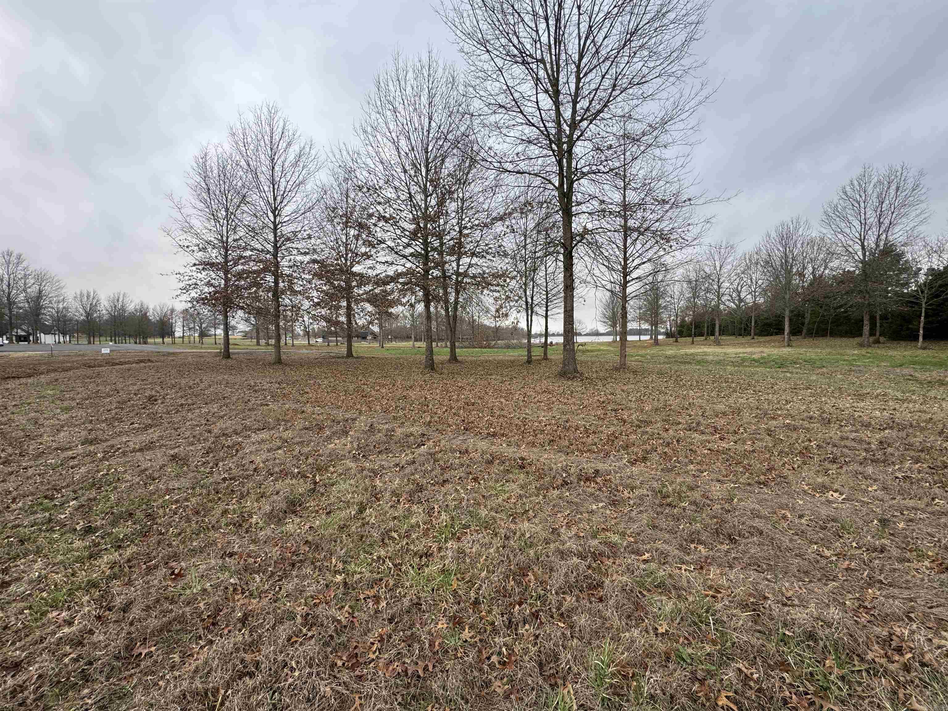 Win Meadow - Land