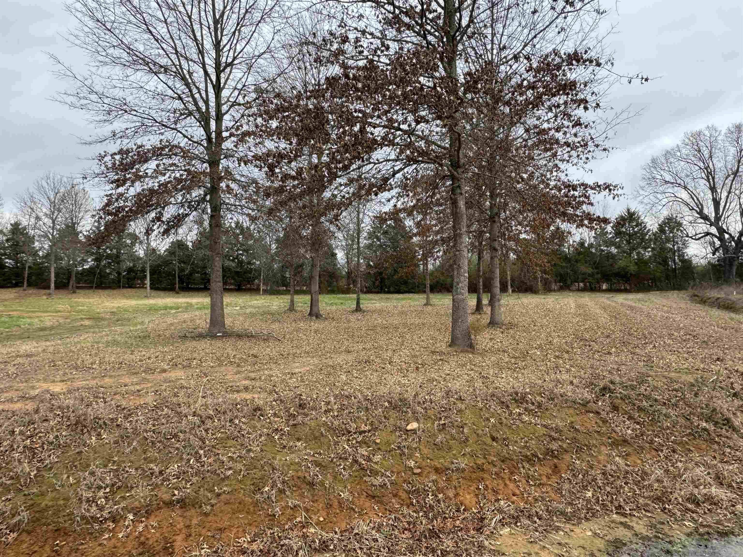 Win Meadow - Land