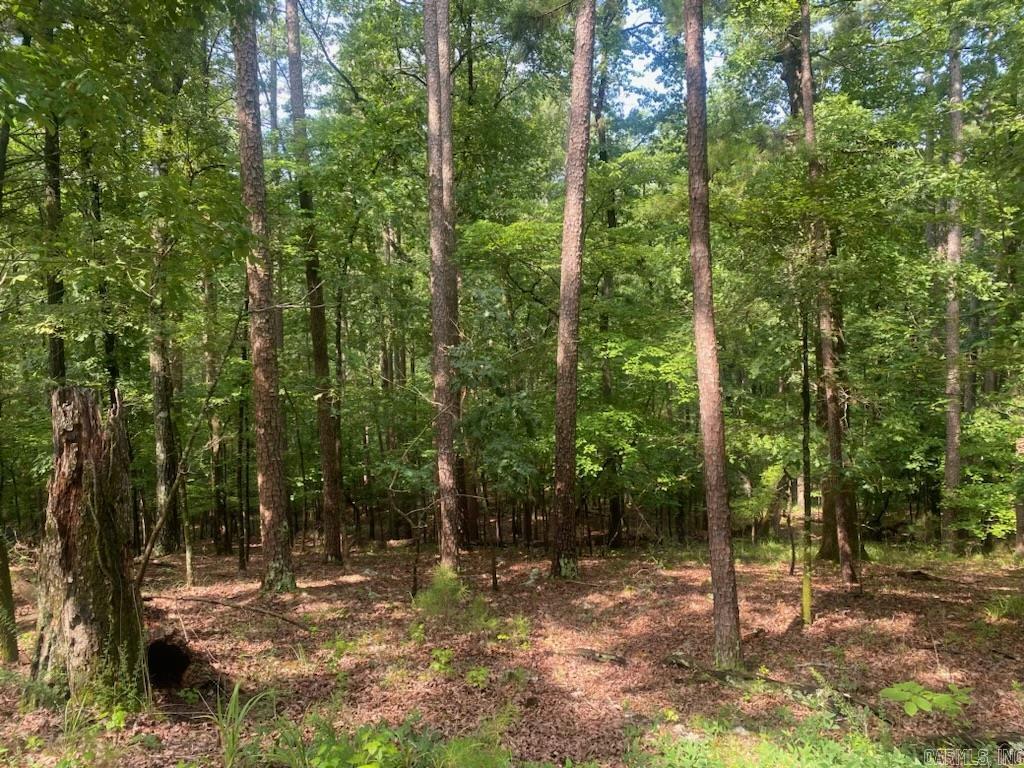 Hickory Nut Mountain Estates - Land