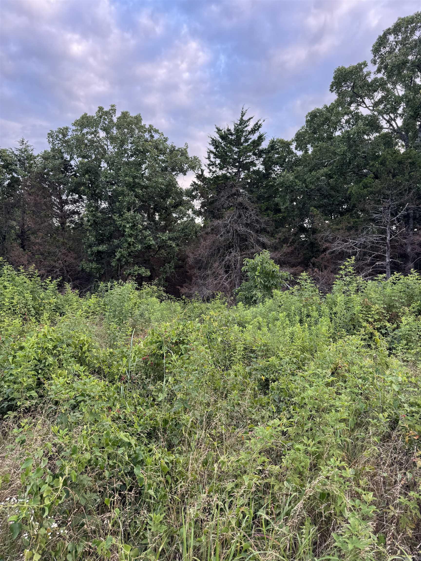 Not in Subdivision - Land