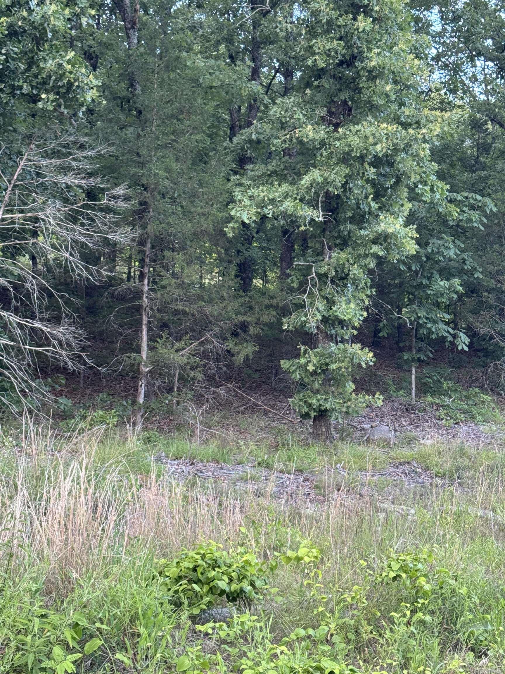 Not in Subdivision - Land