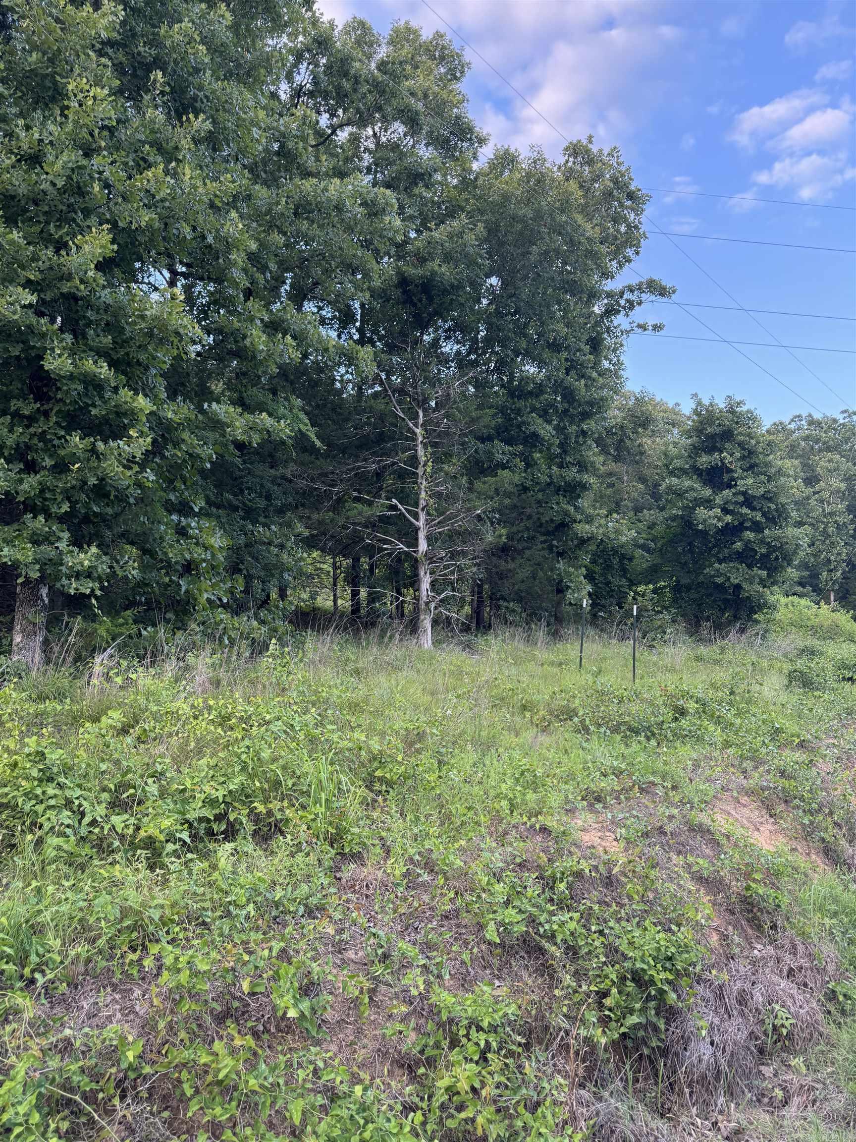Not in Subdivision - Land