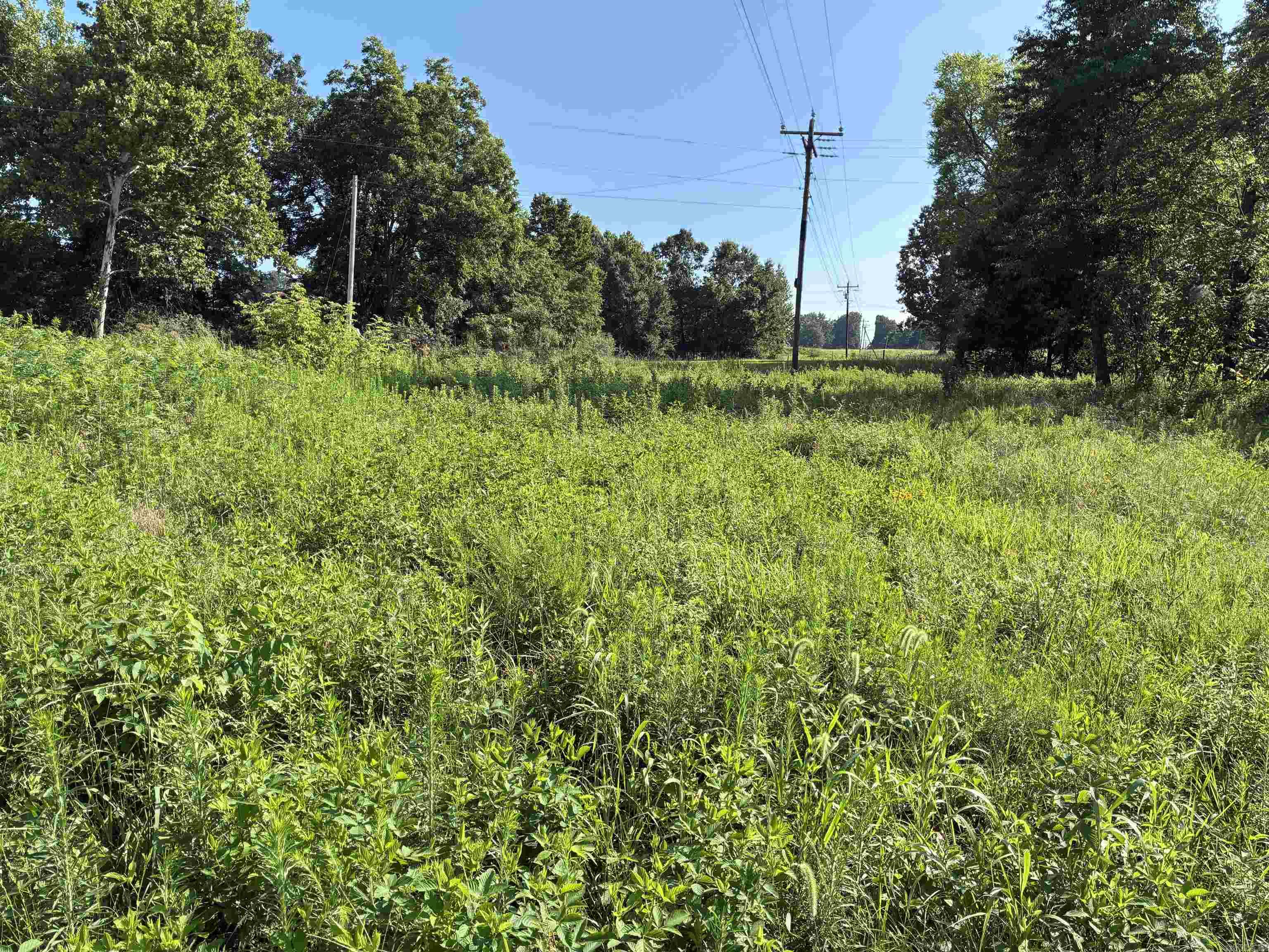 Randolph County - Land