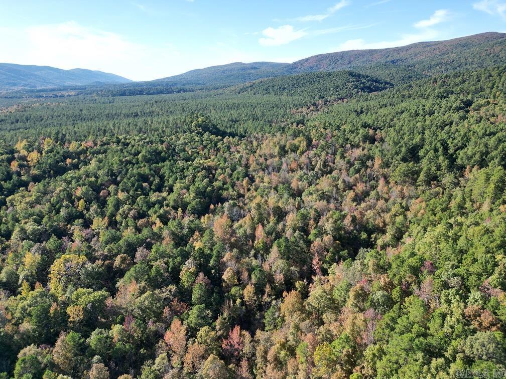 Amazing river property and National Forest boundaries. This 156+ acres joins National Forest and the Ouachita River along the backside. Great hunting camp for current owners but has amazing building spots with mountain views. This could be your dream place! Must call for your private showing! Agents see remarks.