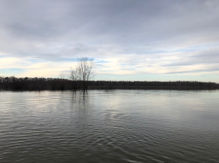 Searcy - Land