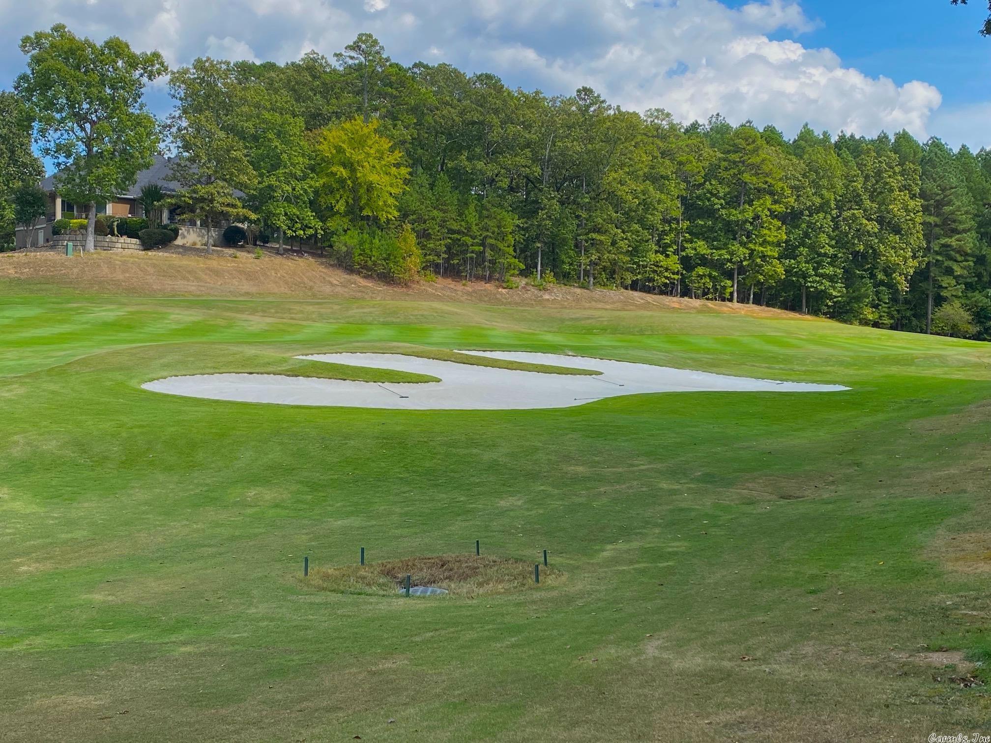 Fantastic Building Site in Diamante Golf Community – Hot Springs Village-Build your forever home on this exceptional homesite located within Diamante, the premier private golf course community in Hot Springs Village. Nestled inside the largest gated community in the country, Hot Springs Village spans over 26,000 acres and offers an unmatched lifestyle. Enjoy 11 pristine lakes, 8 additional championship golf courses, and miles of scenic walking and hiking trails. Diamante is home to the #3 ranked, award-winning golf course in Arkansas, as recognized by Golf Digest. Conveniently located less than 30 minutes from historic downtown Hot Springs and Oaklawn Racing Casino Resort, this property offers the perfect balance of privacy, recreation, and accessibility. An ideal opportunity to create your dream home in one of Arkansas’s most sought-after communities. 2026 Diamante Initiation Fee $7,500. Transfer Fee $3,000. Gold status property- requires a 4 year full golf membership to Diamante Country Club for 48 months, dues for membership are $769 +tax/month.