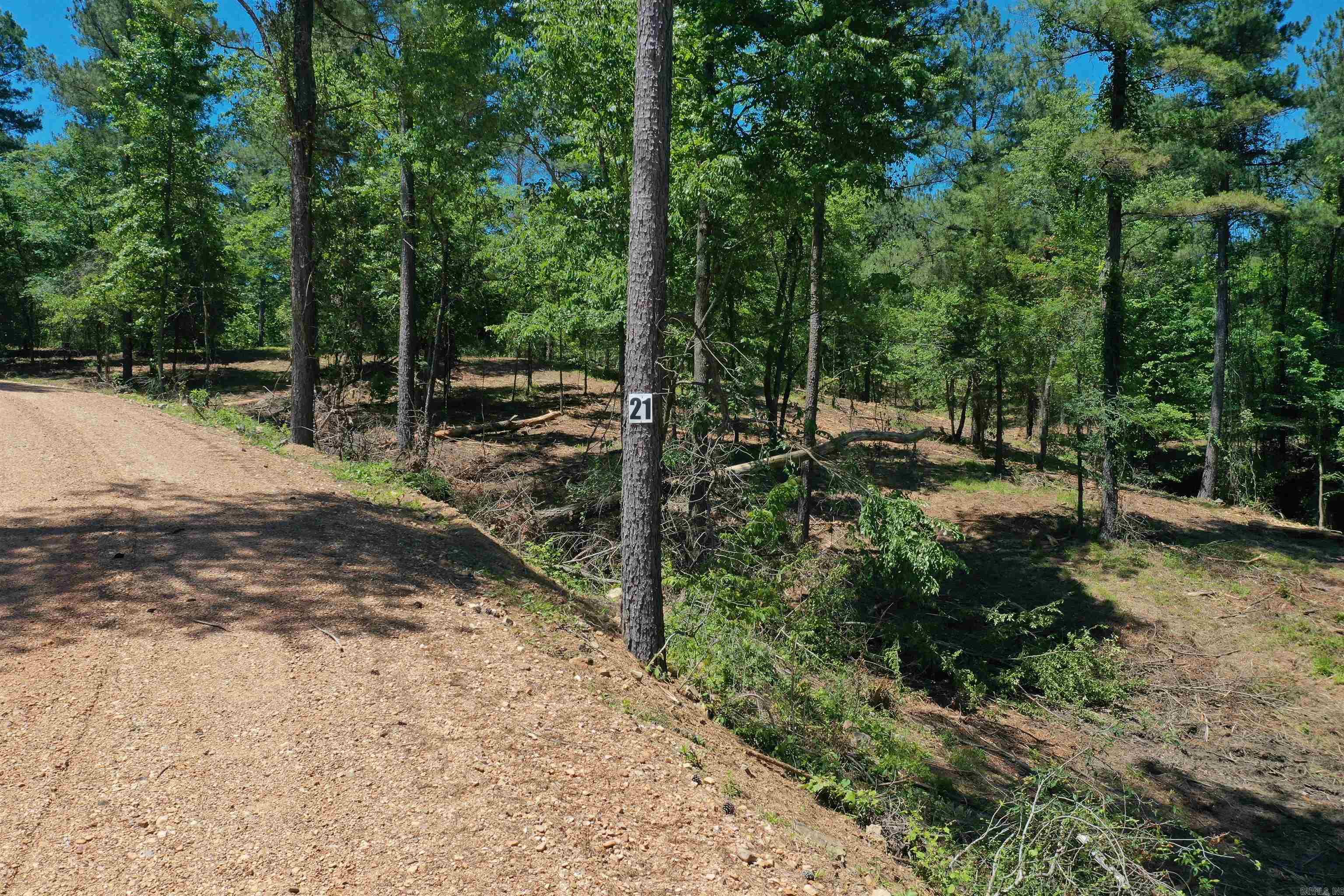 BEAR CREEK RIDGE SUBDIVISION PHA - Land