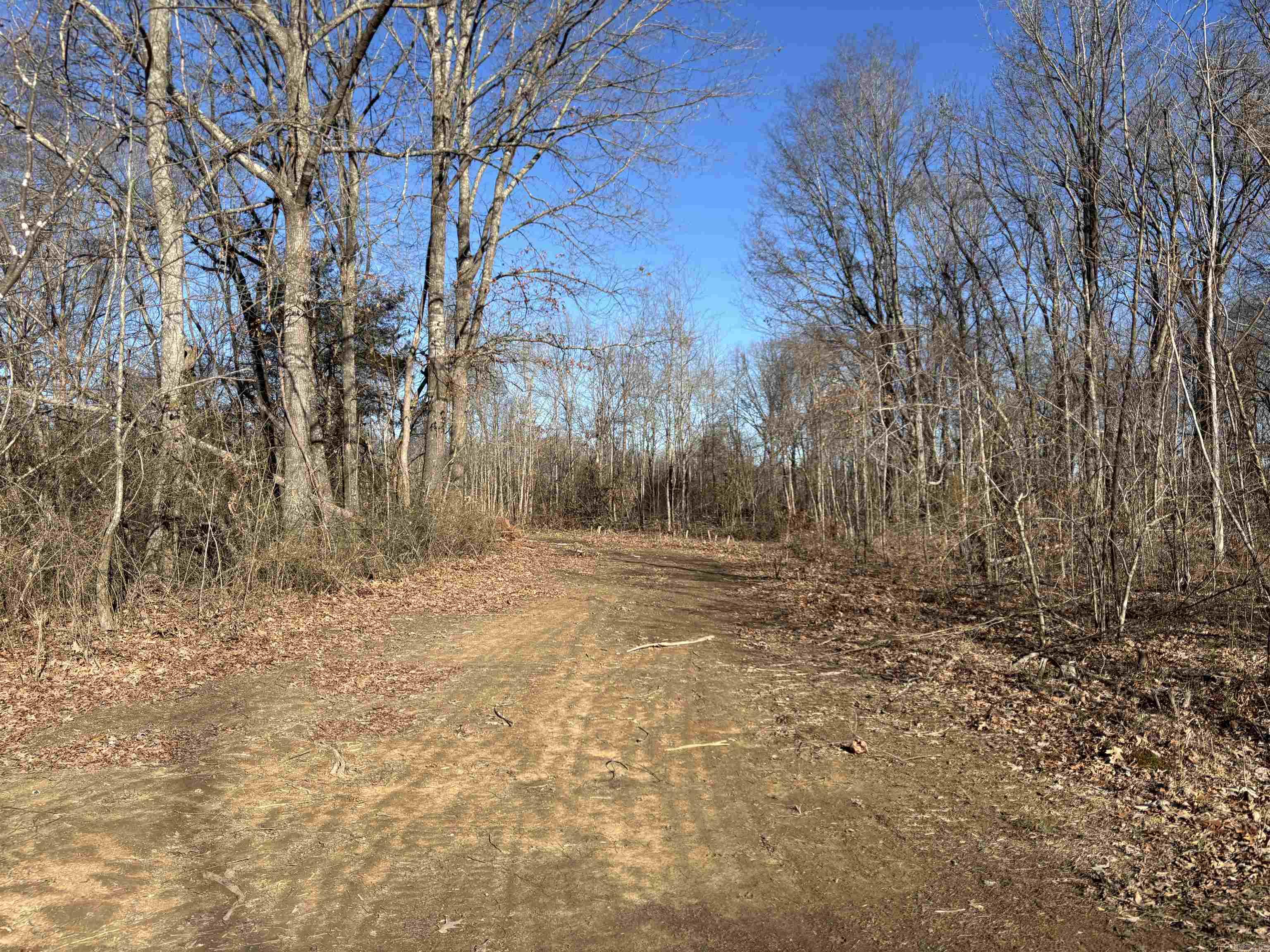 100+- Acres located along Big Creek Highway 16 White County. Just North of Searcy, Arkansas on the way to Pangburn you cross Big Creek.  This tract lays alongside this year round creek.  Big Creek had water flowing all through the driest winter of 2025-26 that I can remember.  The tract has been clear cut recently however the owners have maintained good road running throughout and along the entire perimeter of the Land.  Hardwoods are interspersed thoughout the property.  Excellent trapping for fur bearing animals exists and fishing/swimming are options anytime you want.    The map shows floodplain but the Pines tell a different story!!  The Owners report no flooding has been noticed or reported since the early 80's when they purchased the property.  The previous owner planted the pines and did not oose a one to standing water or flood.  As you know, Pine trees do not handle floods or bottum land that holds water for any length of time.  Pines can tolerate as much rain as nature can throw at them but it must drain quickly or they die off.  This tract has a good slough along one side of the property offering really good Wood Duck Hunting, Deer, Quail, Turkey, Fur Bearing, predators