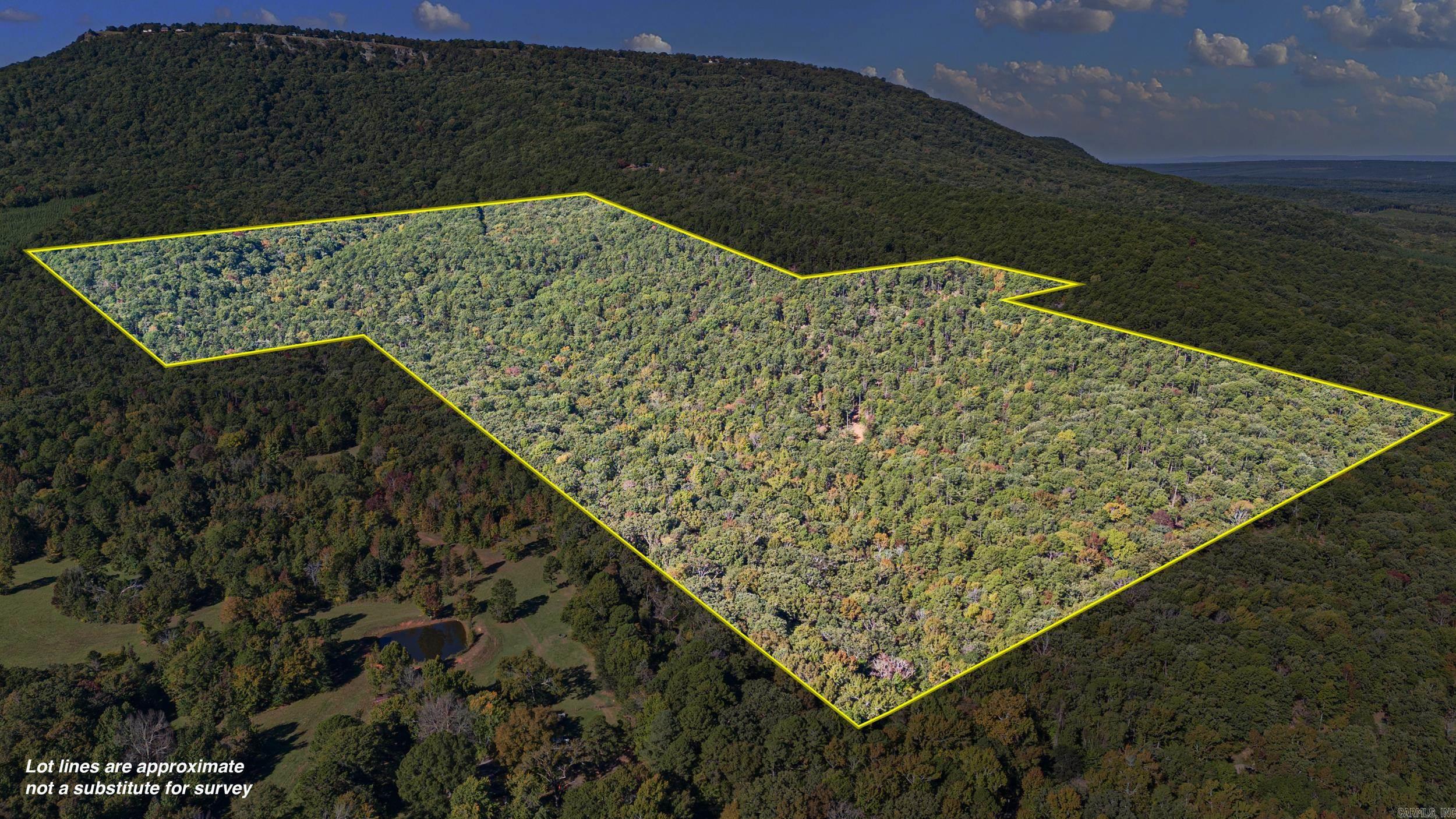 Discover 136 acres of unmatched beauty at the foot of Mount Nebo— a truly one-of-a-kind legacy property. This rare tract adjoins Mount Nebo State Park and directly borders the world-renowned Monument Trail mountain biking system, offering instant access to some of the best outdoor recreation in the region. With multiple breathtaking views, mature hardwoods, and an abundance of wildlife, the land feels like a private sanctuary. The development potential is incredible or hold the property as your private retreat! Whether preserved for nature, developed into a series of cabins, Airbnb's, lodge, resort, or an exclusive private retreat, the possibilities are endless. The combination of scenery, views, location, and direct trail access makes this a property you simply won’t find again.