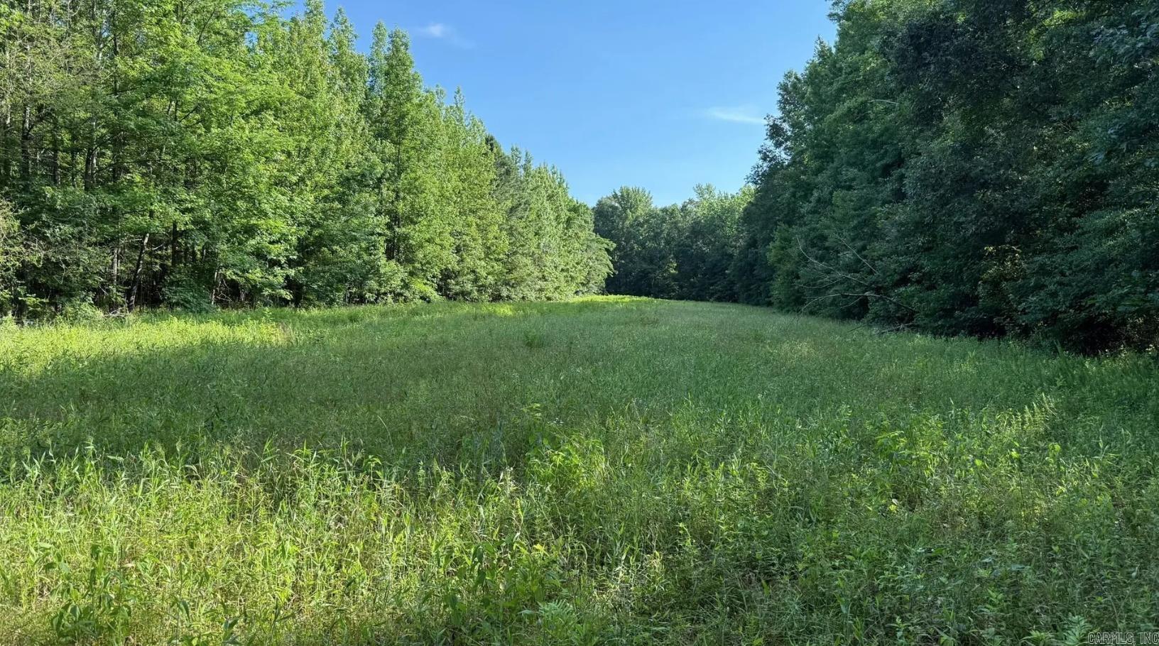 Located just east of Jacksonville on Graham Road, this 38.58-acre tract offers an excellent combination of timber, wildlife habitat, and potential homesite opportunities. The property features mature bottomland hardwoods, a centrally located food plot/open field, and areas of younger hardwood and pine growth that provide outstanding cover for deer and other wildlife.  The southern portion of the property fronts Graham Road and offers buildable acreage with utilities available along the road frontage. Moving north, the terrain transitions into large bottomland hardwoods that adjoin a large neighboring hunting property, creating an ideal setting for wildlife. The northern portion of the tract lies within the floodplain and provides excellent habitat for deer and other game species.  An existing road system runs through the property and, with minor improvements, could provide easy vehicle access into the center of the tract. Numerous deer were observed while touring the property, highlighting its recreational and hunting potential.  Whether you're looking for a hunting retreat, recreational property, or a place to build while enjoying the outdoors, this tract deserves a closer look.