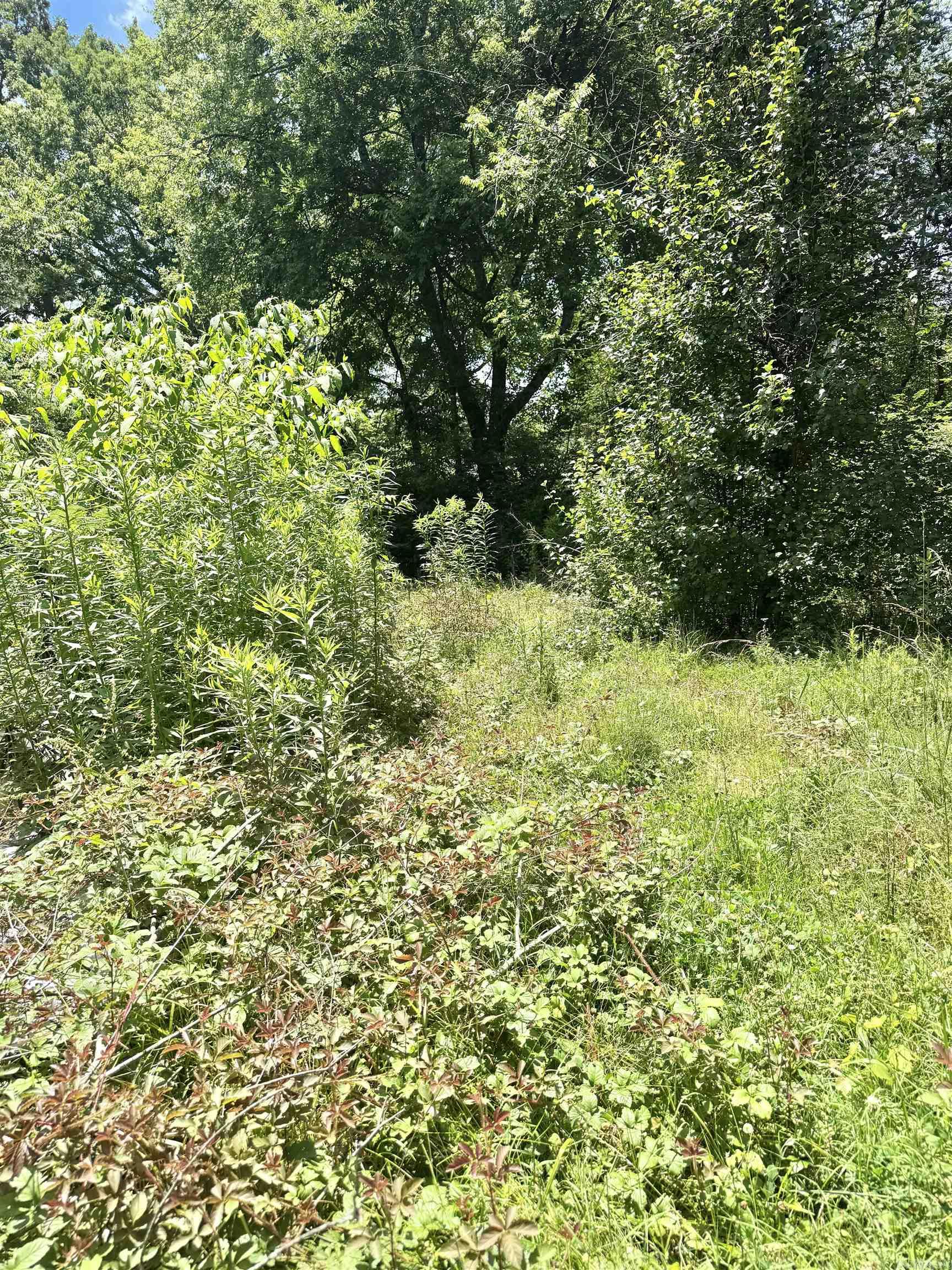 Graceson Acres - Land