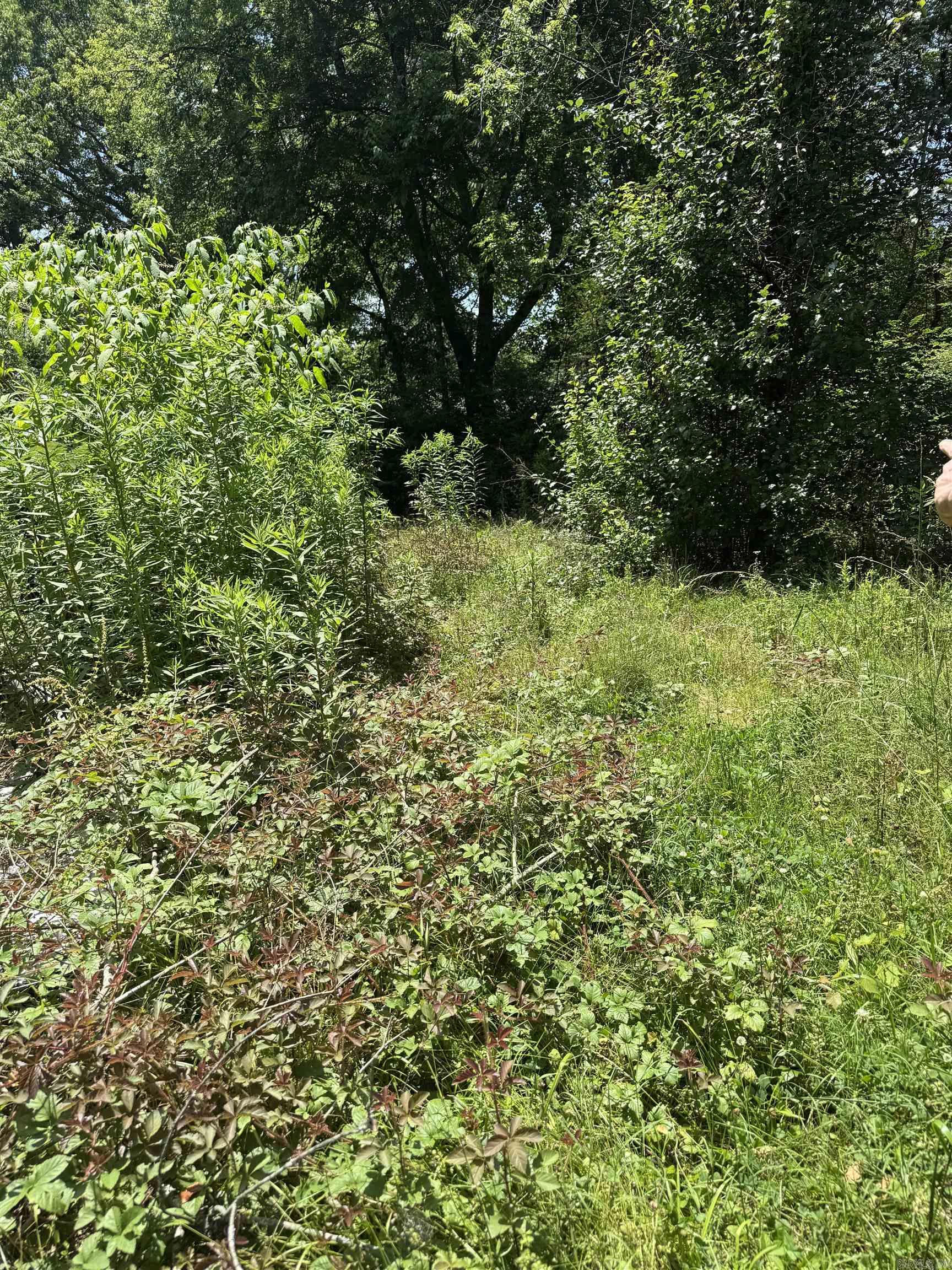 Graceson Acres - Land