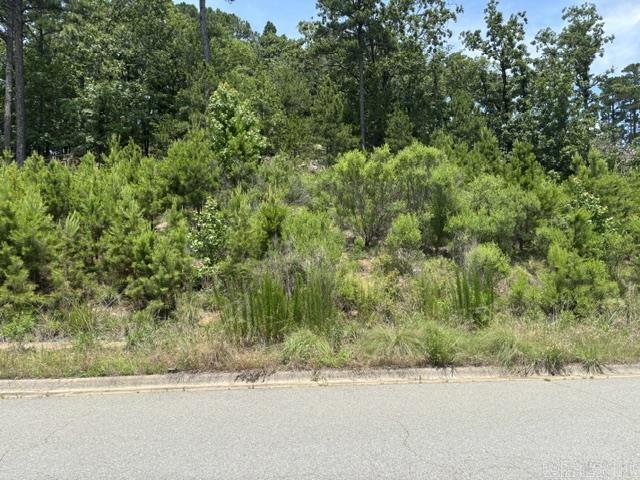 Fantastic lot in desirable neighborhood.   Potential for beautiful view of Arkansas River valley with home built higher on the lot,  Close to amenities including restaurants, shopping and schools.