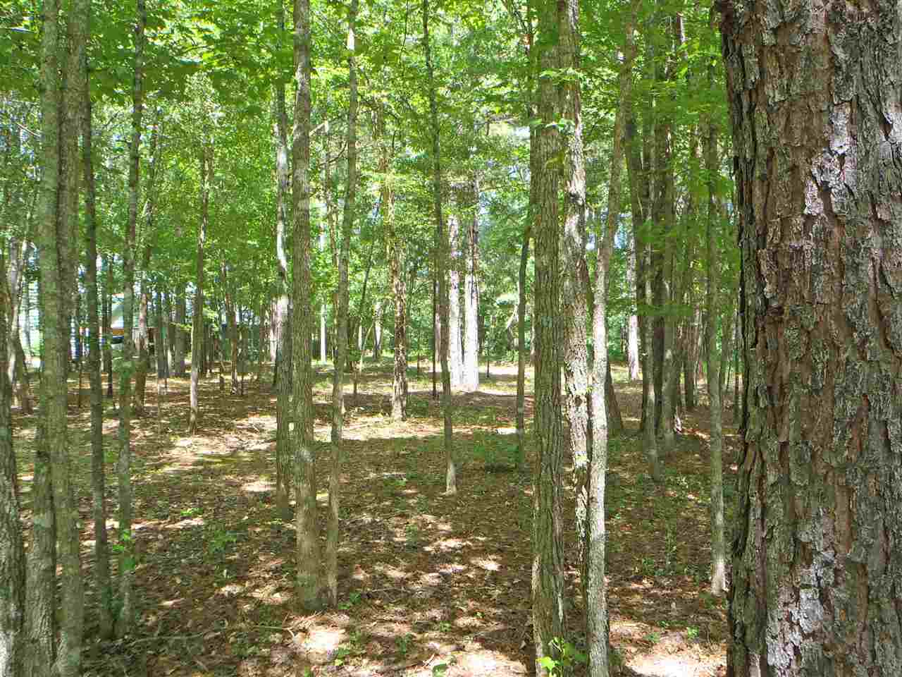 Beautiful wooded lot perched high above famous Cow Shoals, one of the most famous and productive fly fishing destinations in North America.  Looks out over rushing water and protected Arkansas Game and Fish Commission property.  This is one of the most desirable locations on the Little Red, ten minutes from town or Greers Ferry Lake and a fly fisherman's dream.