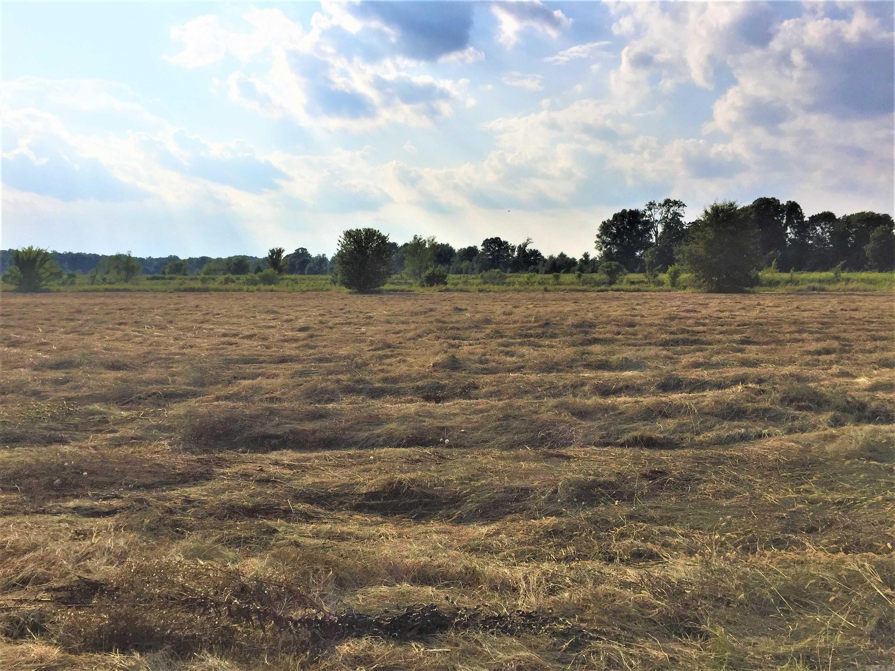 Mound Lake II - Land