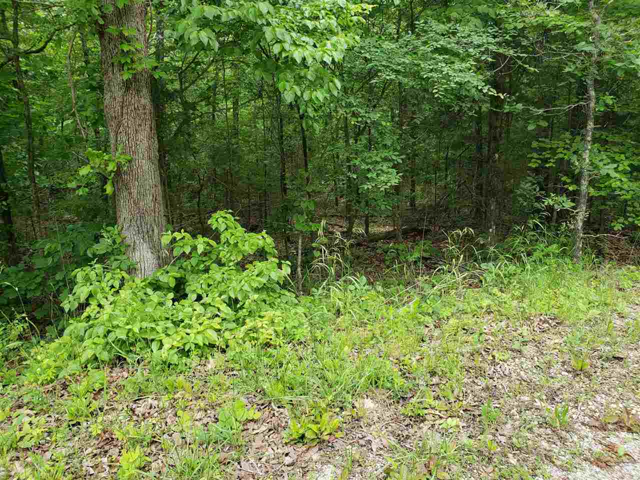 Wonderful wooded lot on a gentle slopping hilltop. Great location for that dream home or just a vacation getaway. With all the activities in Cherokee Village and the surrounding area. It is a wonderful place to raise a family or retire. Nice rural area, just a laid back way to live. Come join the community and live the Cherokee Village lifestyle. Fishing, golfing, boating, skiing, hunting, or just enjoy all the wildlife and wonderful scenery in the area. 7 lakes, 2 - 18 hole golf courses, 2 rivers.