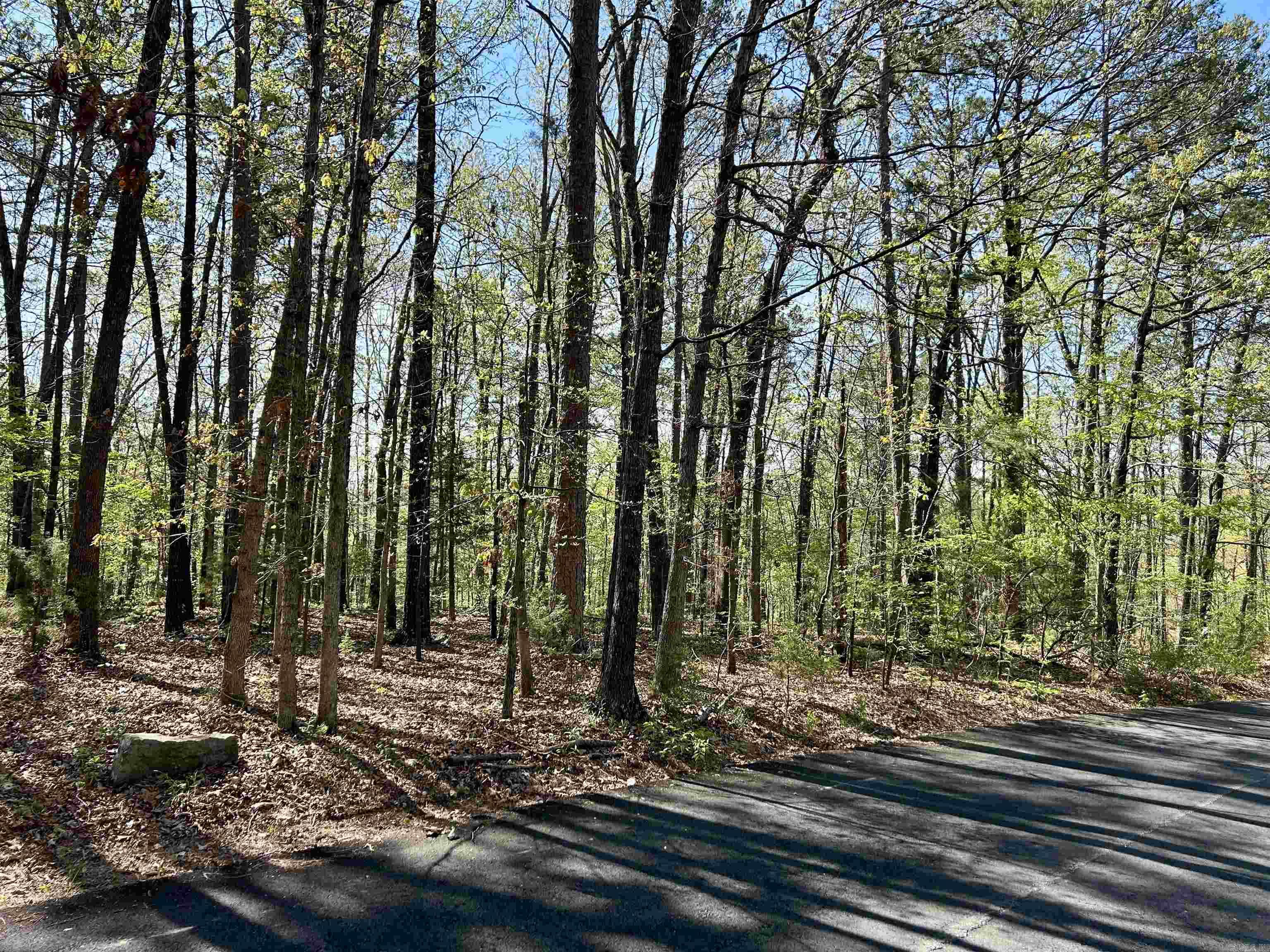 Tract 21 in Mitchell Development - Spacious and wooded 3.66 acre tract in a beautiful, well maintained and established neighborhood! Accessed by a paved street this lovely acreage is convenient to all that Mountain View has to offer. It is only 4.7 miles to the Stone County Courthouse Square and 2.5 miles to the White River. Utilities are at the street and the tract will require a septic system. There are a few simple restrictions to protect your investment and a 1,200 square foot minimum. No mobile homes. Build your Ozark Mountain dream home in this beautiful park-like setting!