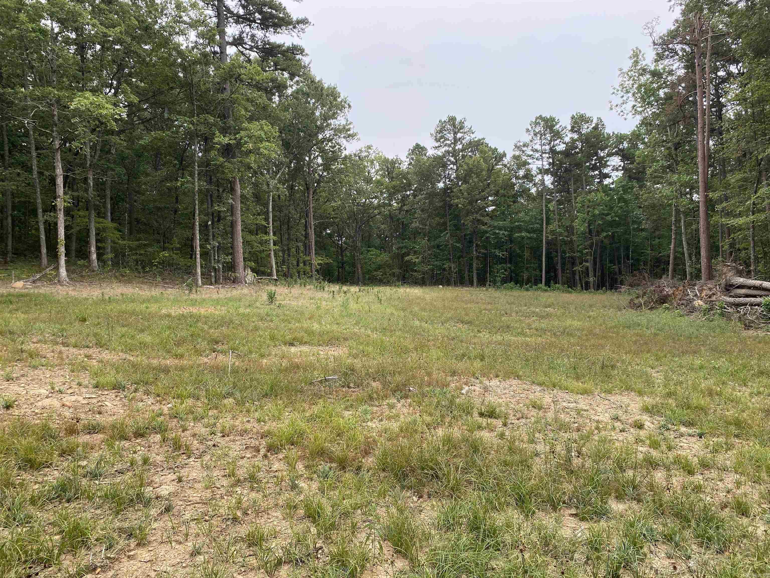 Looking for privacy to build your dream home? This beautiful 12.5-acre property sits on a quiet dead-end road just 10 minutes from Marshall—home of the popular Kenda Drive-In—and only 30 minutes from multiple Buffalo River access points. The land is mostly wooded with a mix of tall pine and hardwood trees, offering a private and peaceful setting, with abundant wildlife and no light pollution. A newly constructed driveway winds through the trees to approximately ¾ of an acre that has already been cleared, providing the perfect homesite and yard space. From your porch, you’ll enjoy complete seclusion without views of the road. Rural water and electricity are available along the well-maintained county road for added convenience.