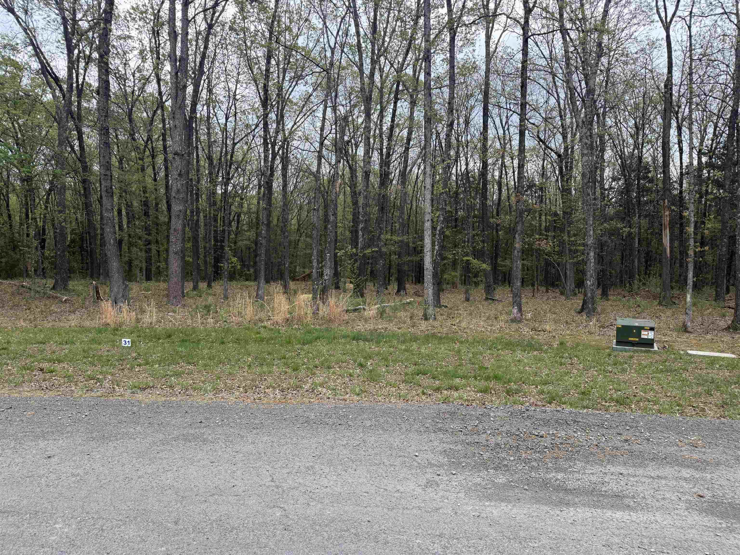 SHILOH LANDING - Land