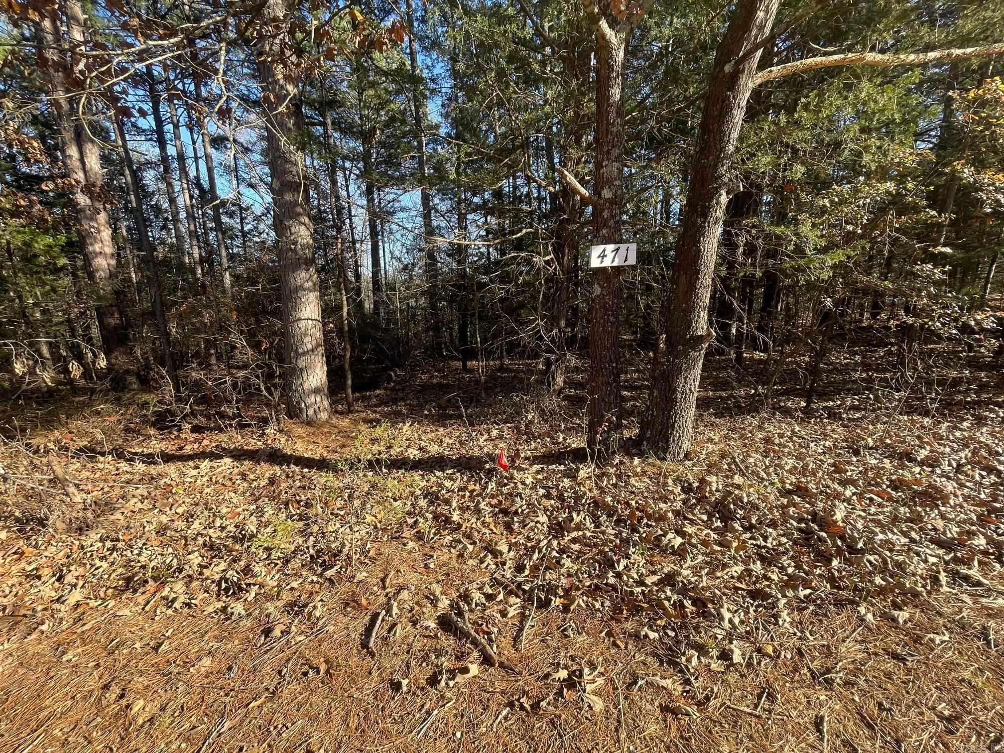Mountain Ranch - Land