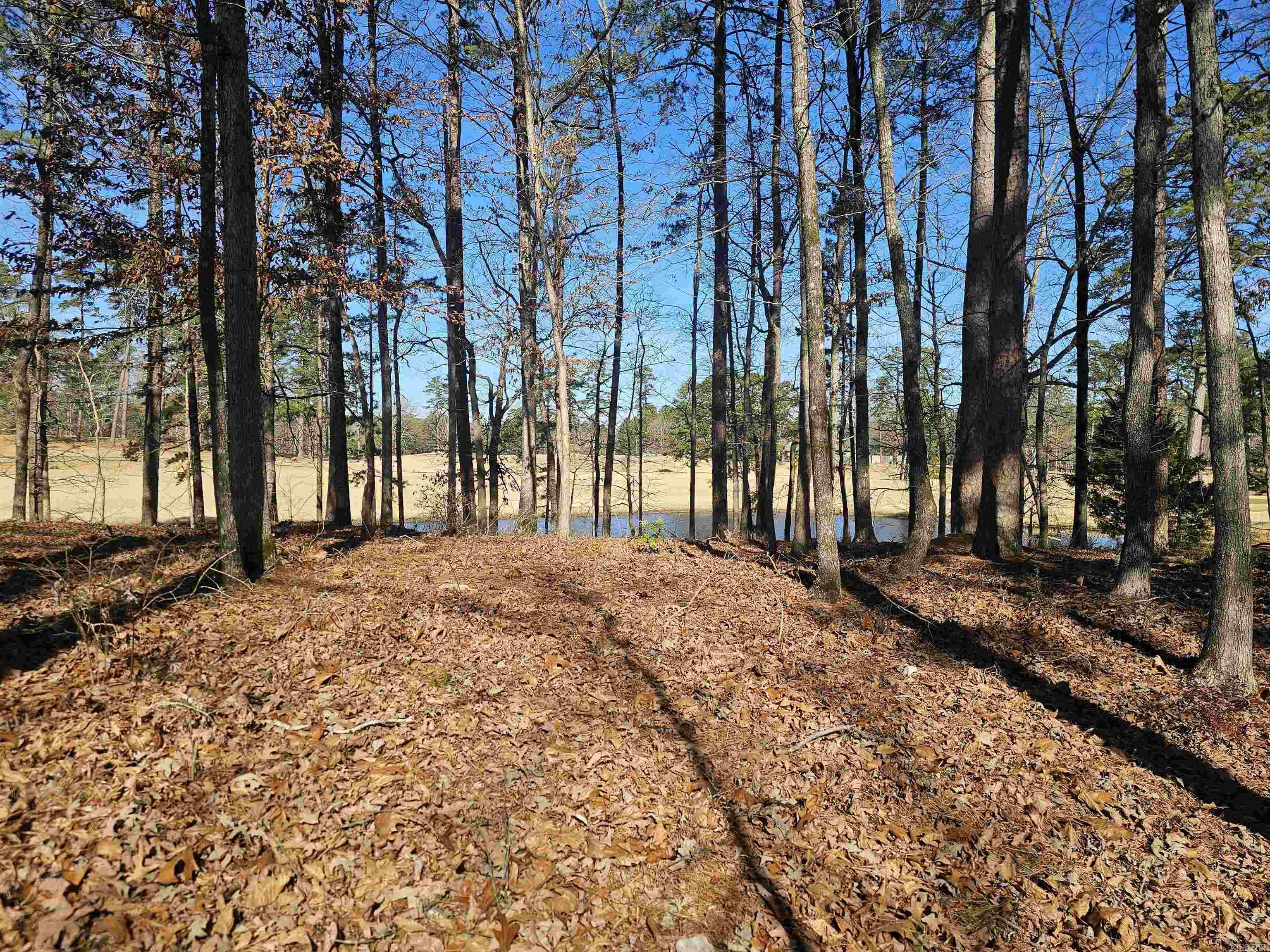 Sendero - Land