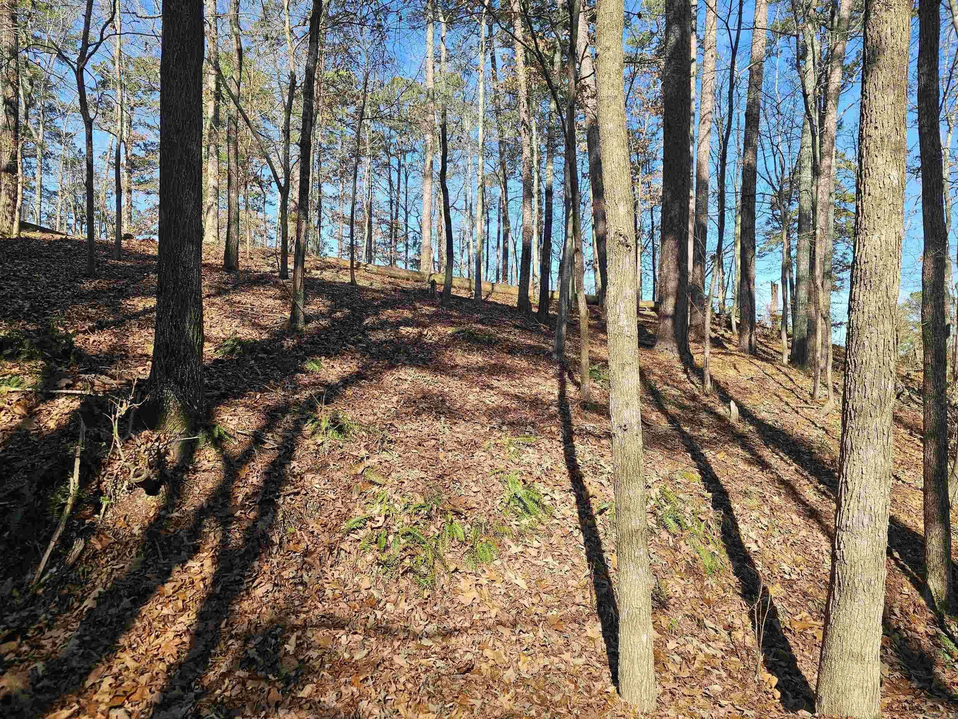 Sendero - Land